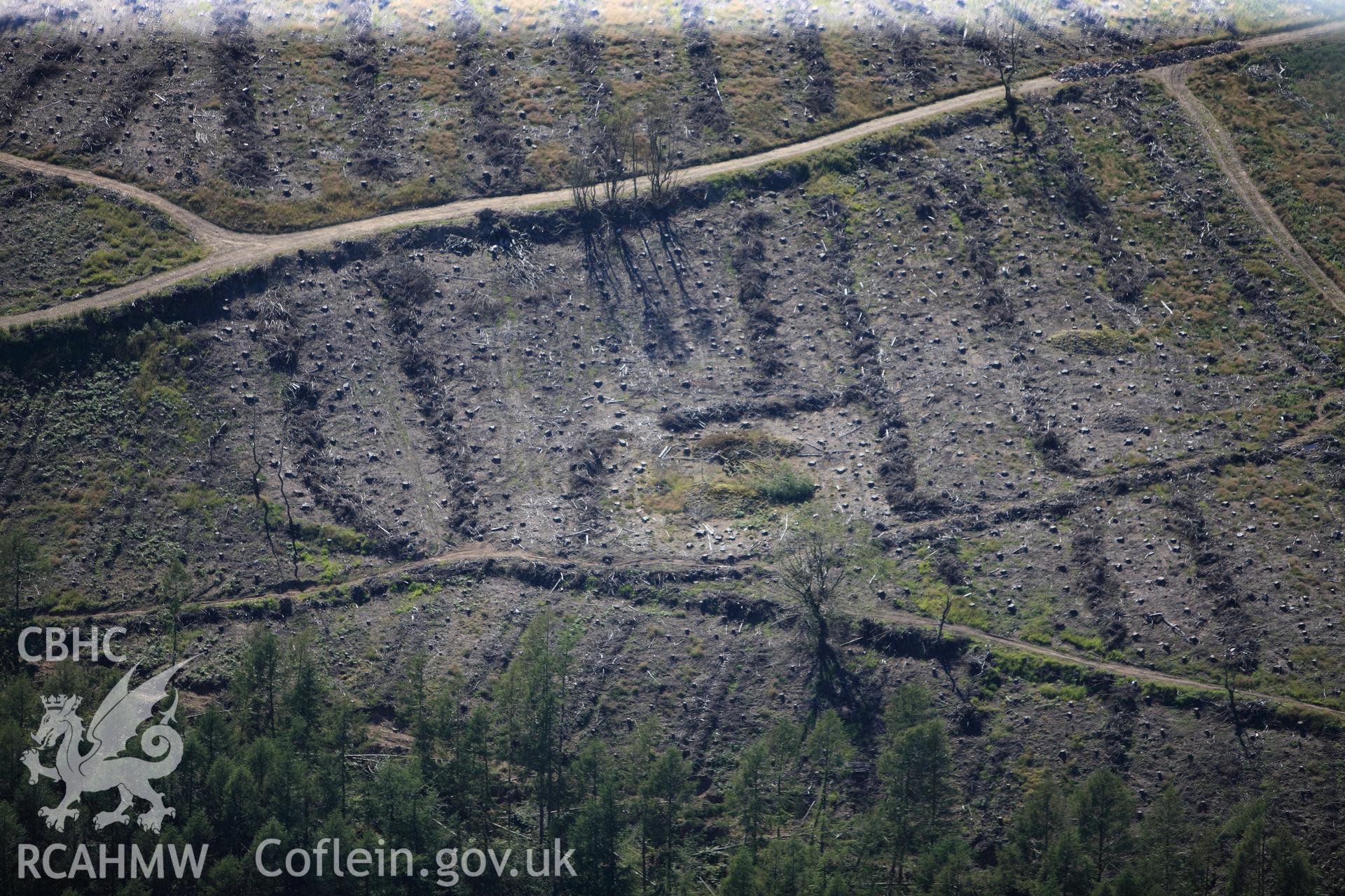 RCAHMW colour oblique photograph of Farmstead in cleared forestry. Possibly Bryn Owen. TO LOCATE. Taken by Toby Driver on 24/07/2012.