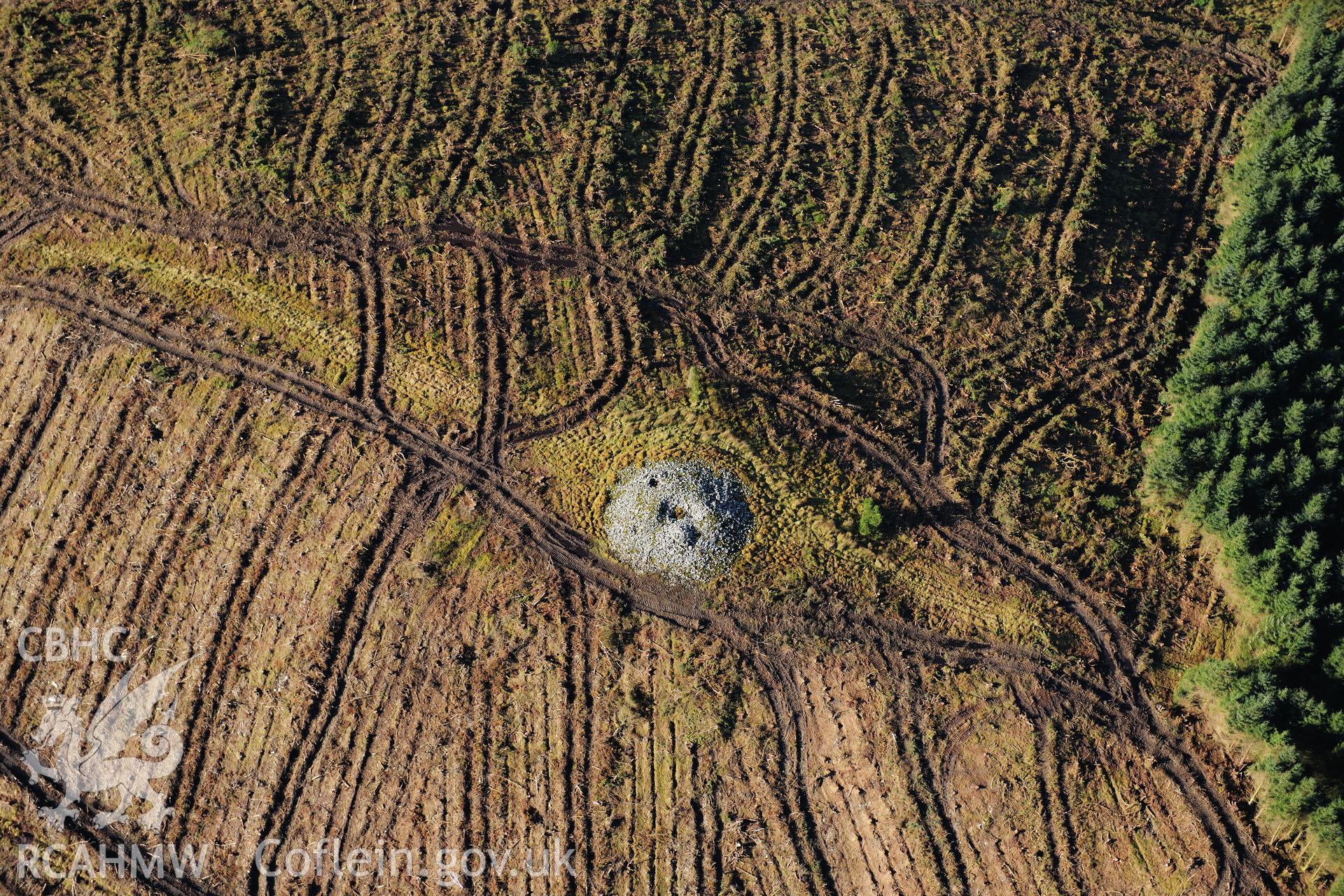 RCAHMW colour oblique photograph of Carn Fflur round barrow cemetery, with forestry clearance. Taken by Toby Driver on 05/11/2012.