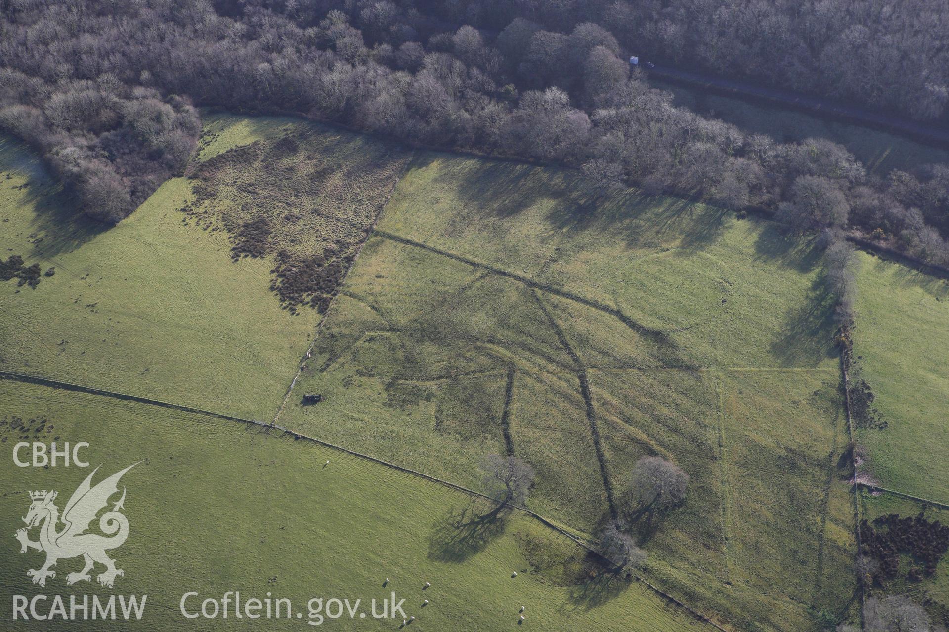 RCAHMW colour oblique photograph of Middleton Hall Park, tree planting circles north-west of Clearbrook woods. Taken by Toby Driver on 27/01/2012.