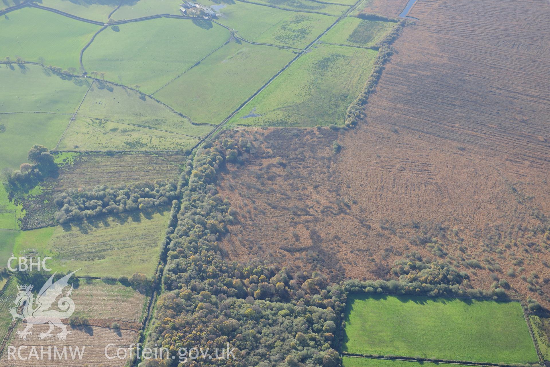 RCAHMW colour oblique photograph of Llangynfelin timber trackway (site of), from north-east. Taken by Toby Driver on 05/11/2012.