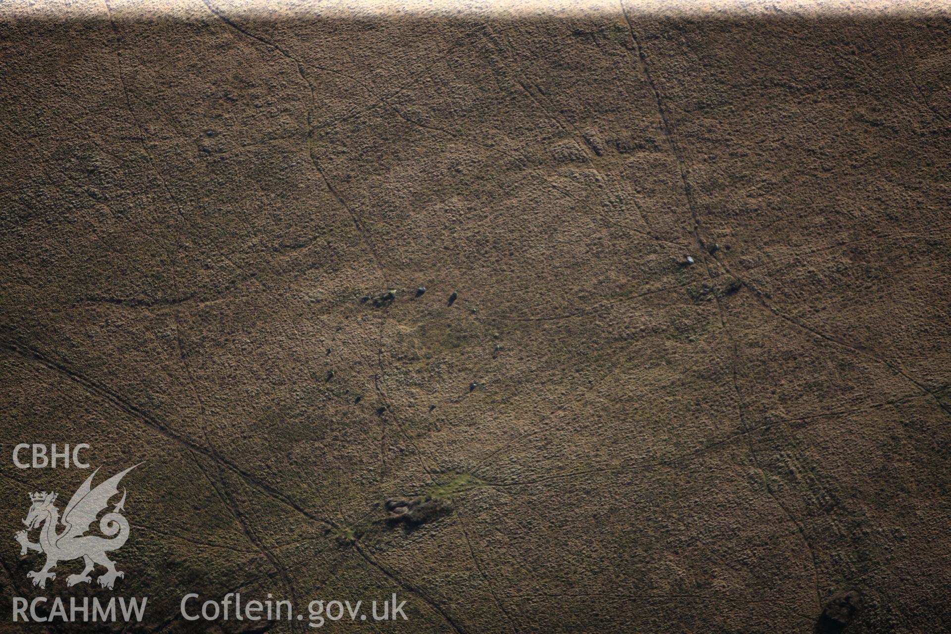 RCAHMW colour oblique photograph of Trecastle Mountain stone circle 1, Mynydd Bach Trecastell. Taken by Toby Driver on 23/11/2012.