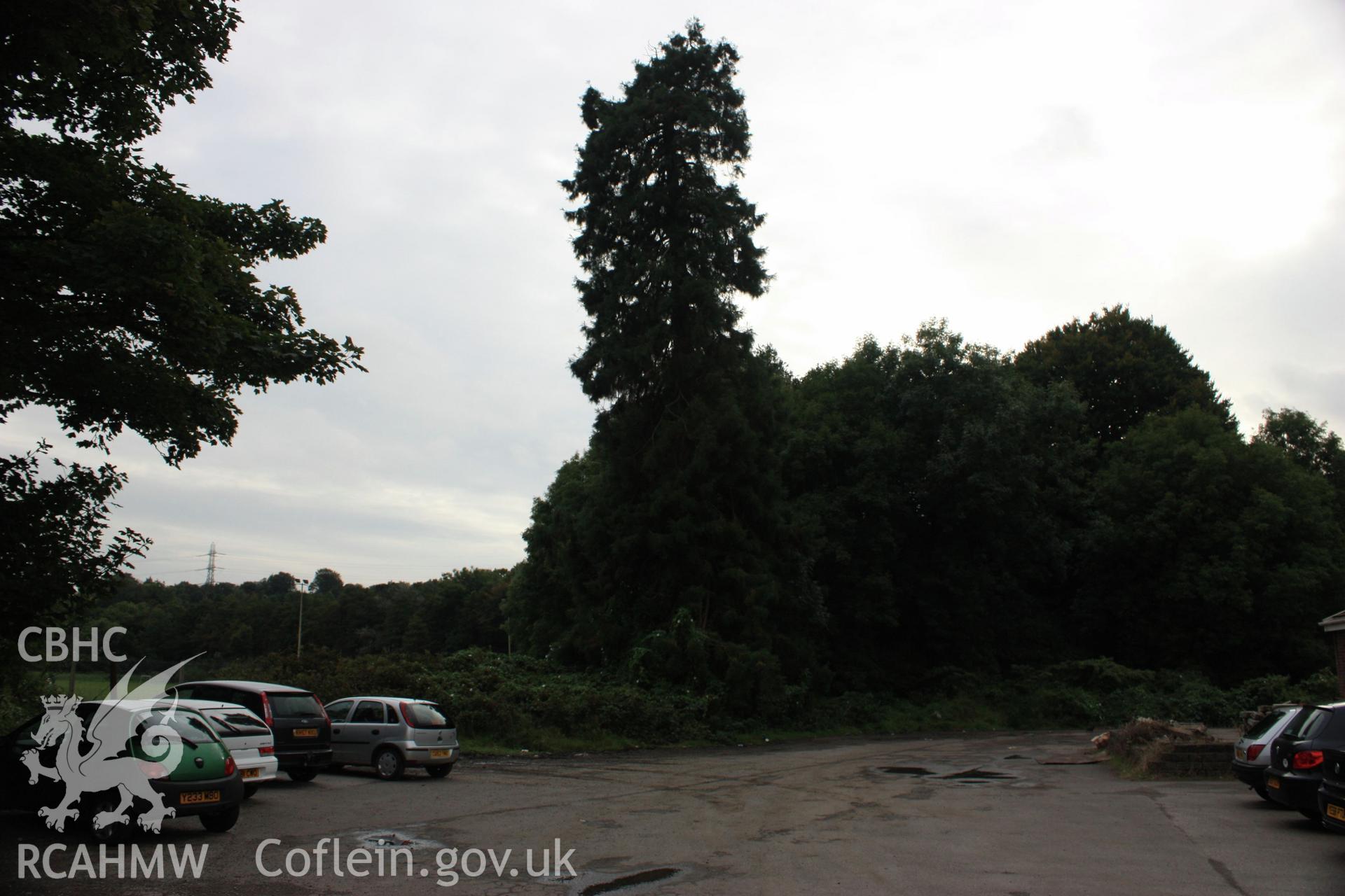 Colour digital image showing view to tree covered Motte with car park covering section of the Bailey in the foreground at Morganstown Motte, Radyr. From a Cambrian Archaeological Projects assessment survey by Dr Amelia Pannett (CAP Report 592)