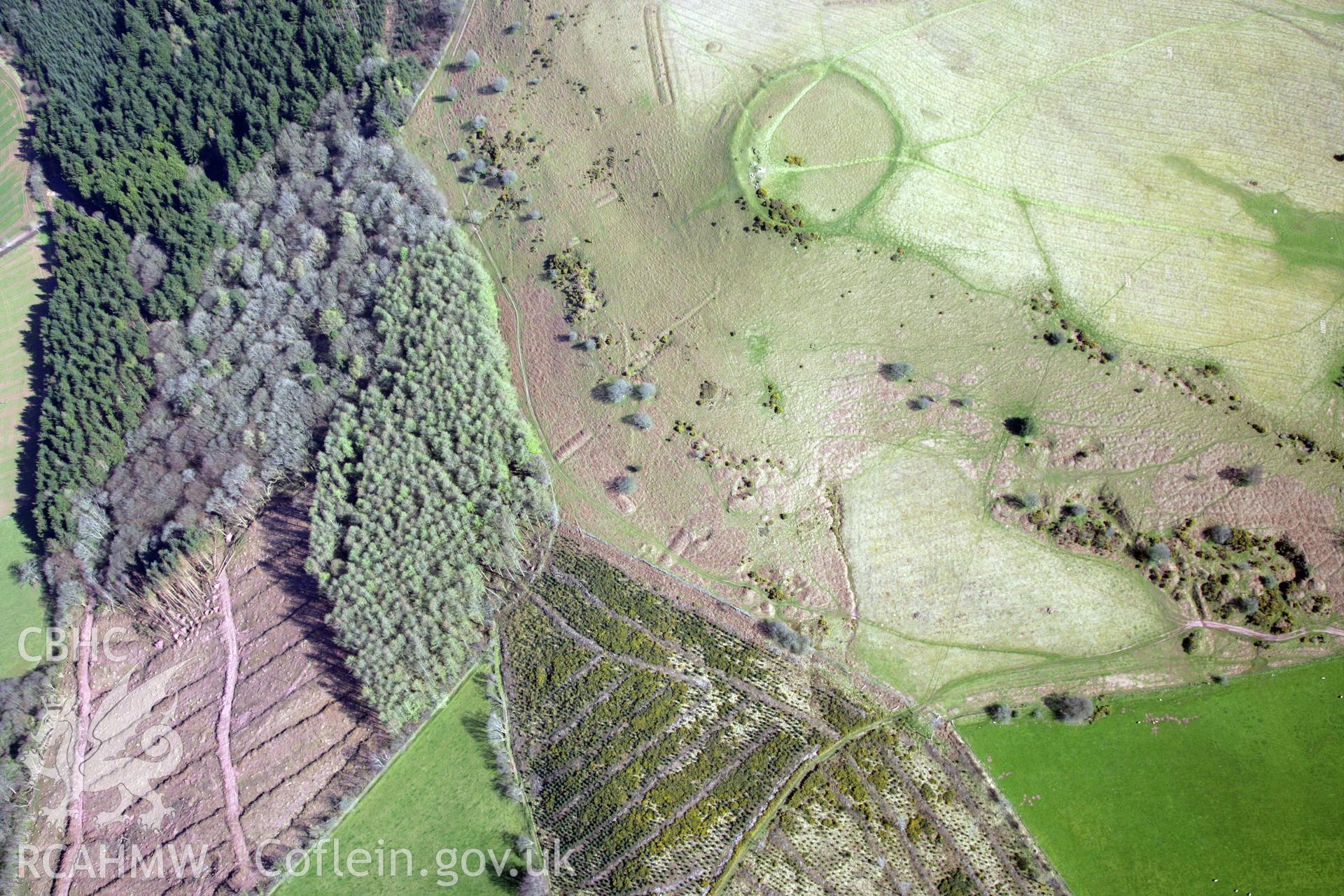 RCAHMW colour oblique photograph of Twyn y Gaer hillfort, and pillow mounds. Taken by Toby Driver and Oliver Davies on 28/03/2012.