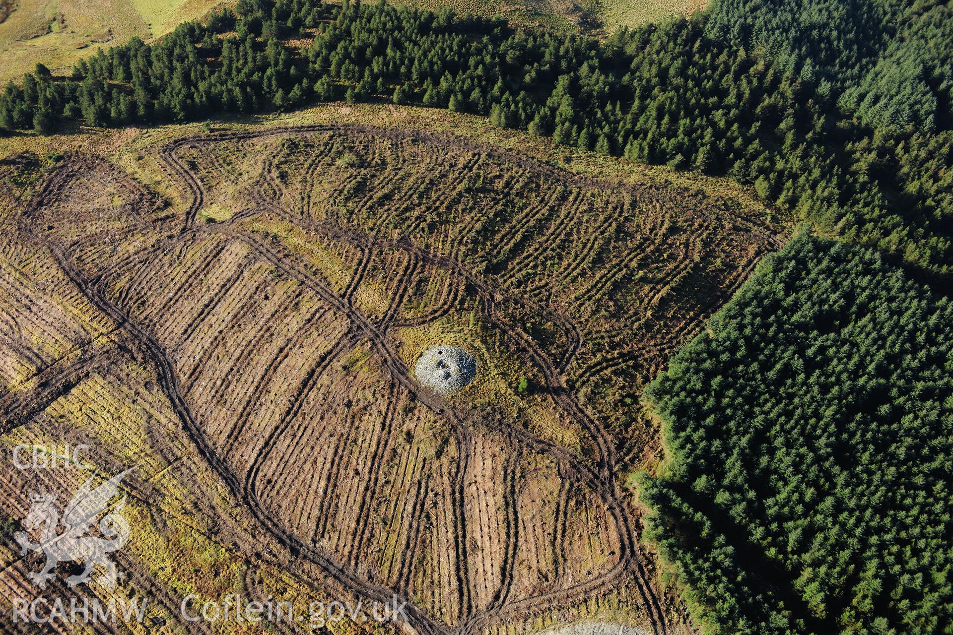 RCAHMW colour oblique photograph of Carn Fflur round barrow cemetery, with forestry clearance. Taken by Toby Driver on 05/11/2012.