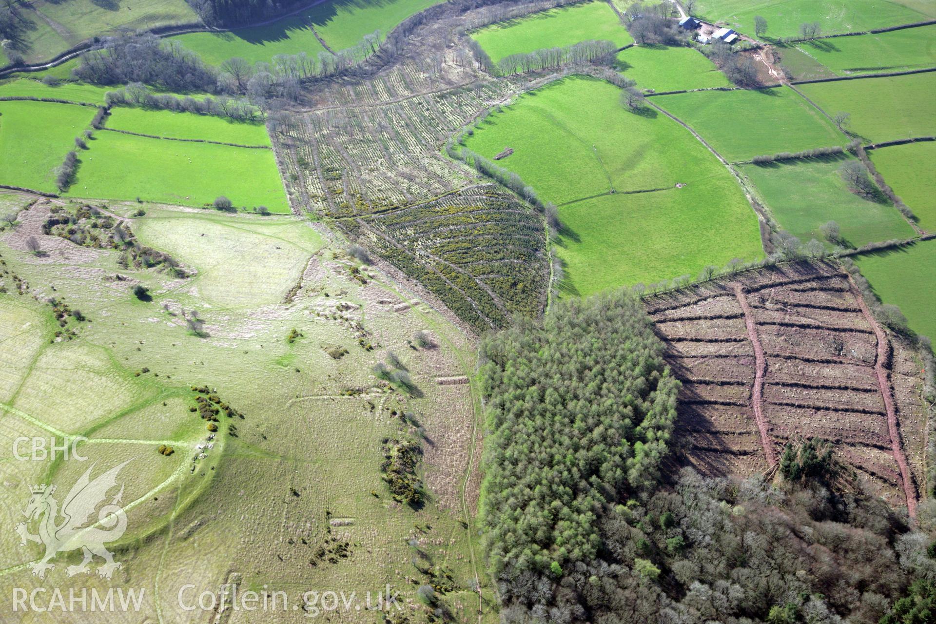 RCAHMW colour oblique photograph of Twyn y Gaer hillfort, and pillow mounds. Taken by Toby Driver and Oliver Davies on 28/03/2012.