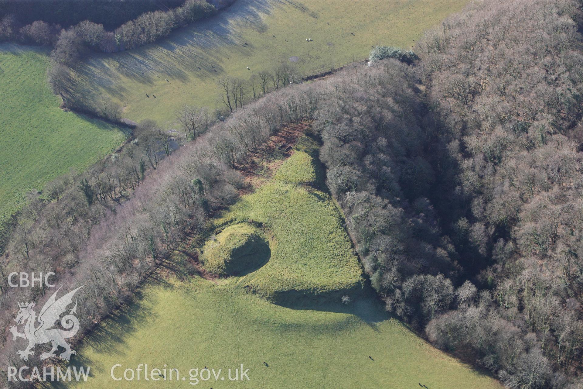 RCAHMW colour oblique photograph of Allt y Ferin, earthwork castle. Taken by Toby Driver on 27/01/2012.