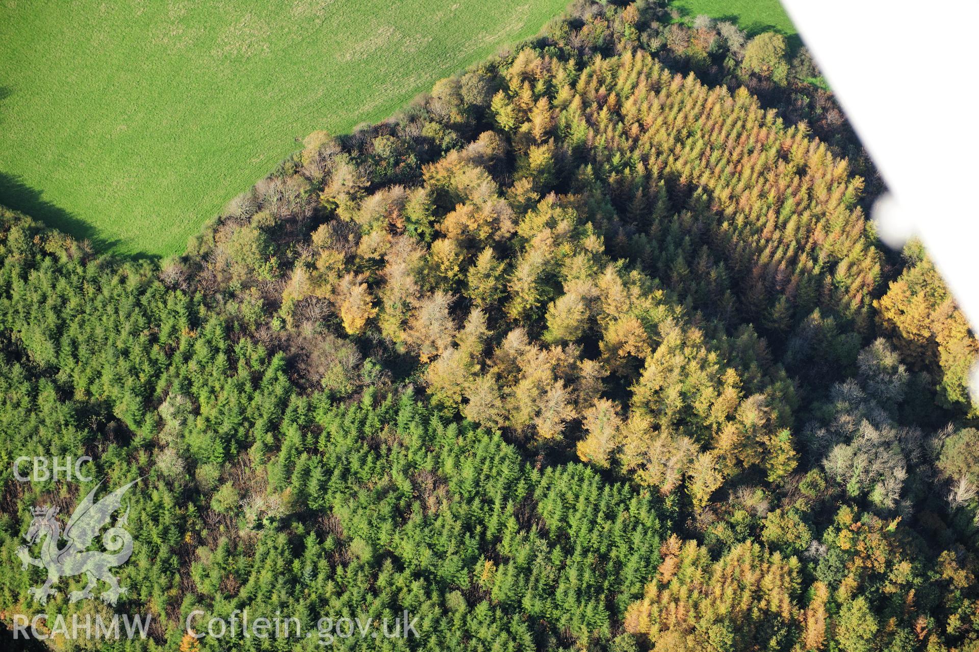 RCAHMW colour oblique photograph of Holgan Fort, 110m east-west by 60m. Taken by Toby Driver on 26/10/2012.