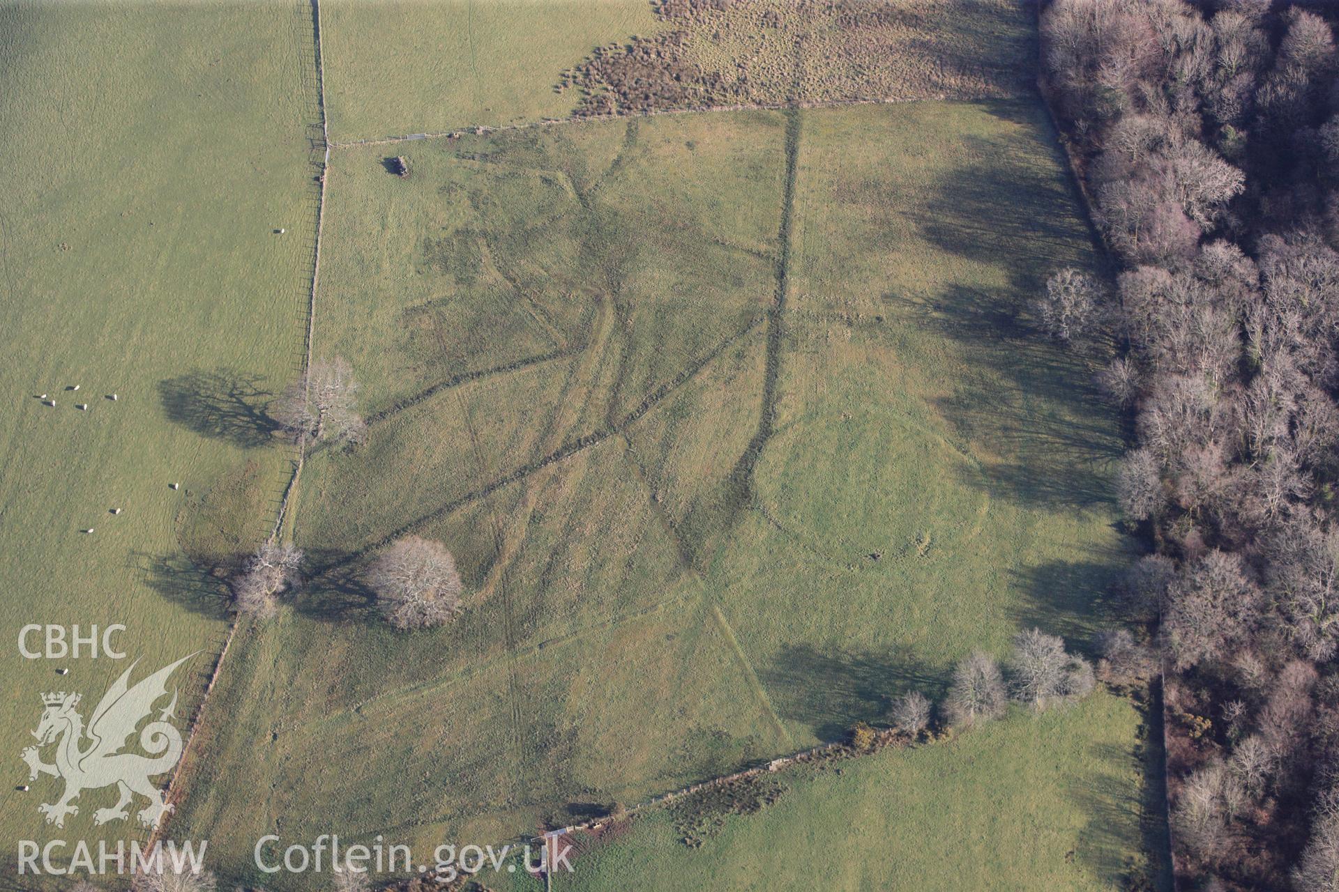 RCAHMW colour oblique photograph of Middleton Hall Park, tree planting circles north-west of Clearbrook woods. Taken by Toby Driver on 27/01/2012.