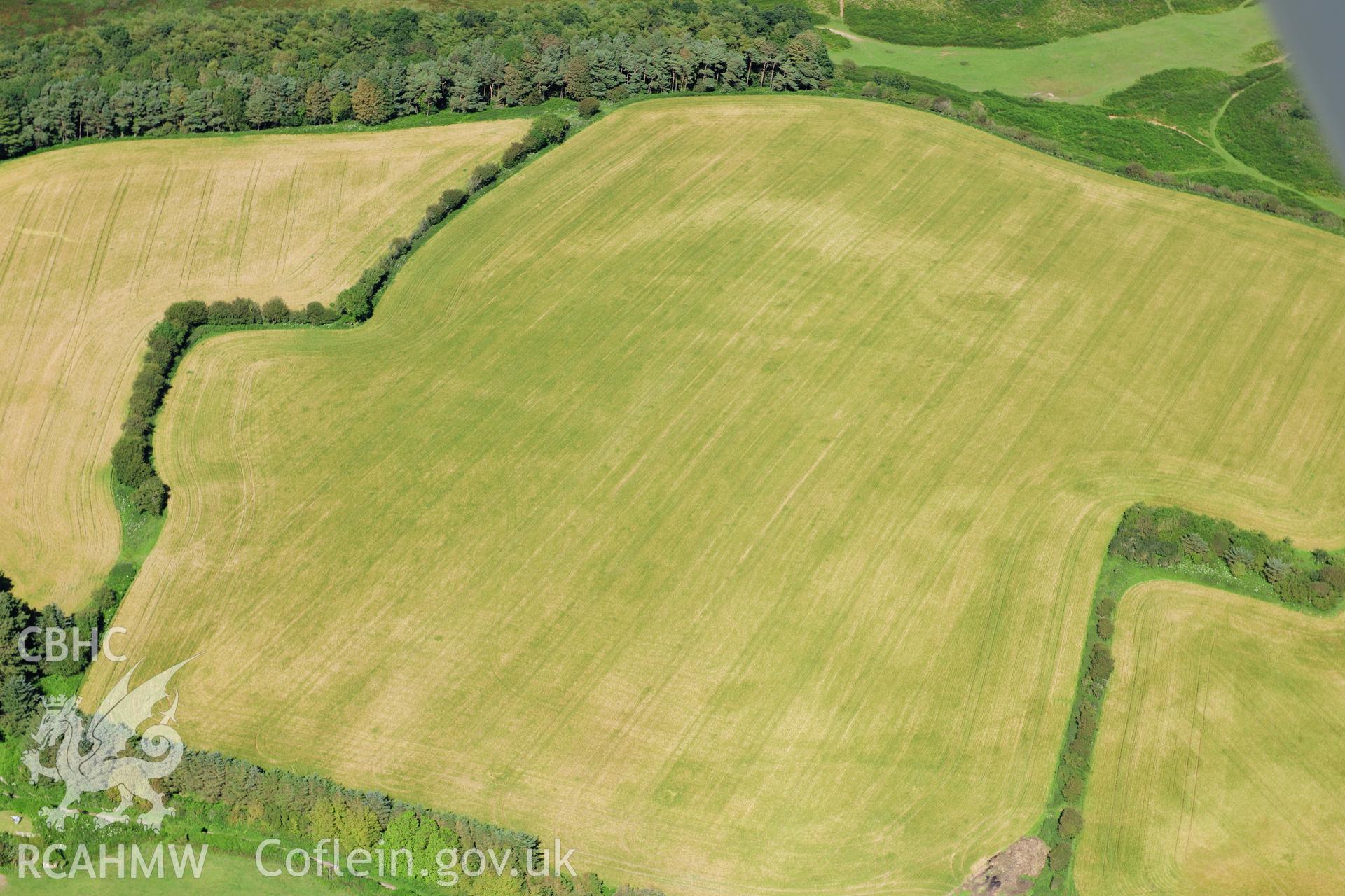 RCAHMW colour oblique photograph of Norton, causewayed enclosure, cropmarks. Taken by Toby Driver on 24/07/2012.