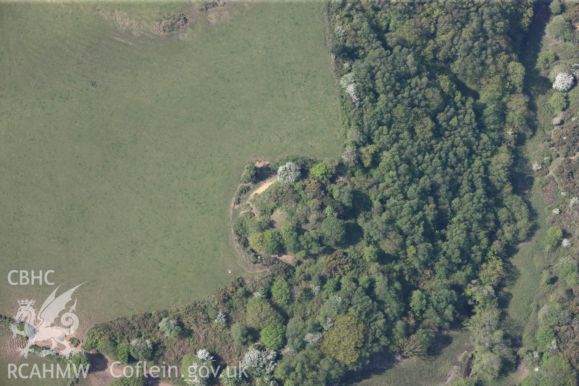 RCAHMW colour oblique photograph of Close view of Waun Twmpath motte, looking south west. Taken by Toby Driver on 24/05/2012.