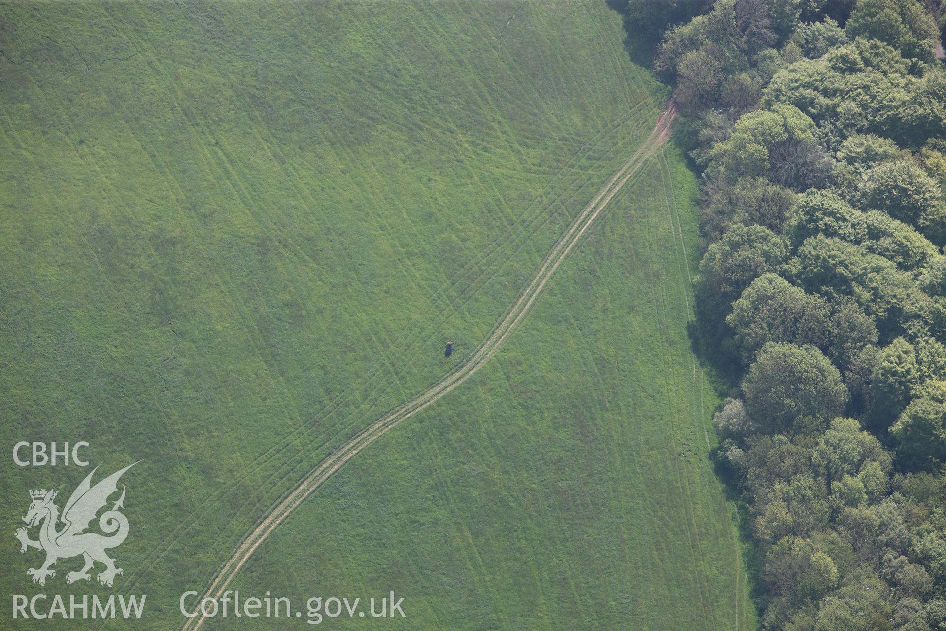 RCAHMW colour oblique photograph of General view of Iscoed standing stone, looking south east. Taken by Toby Driver on 24/05/2012.