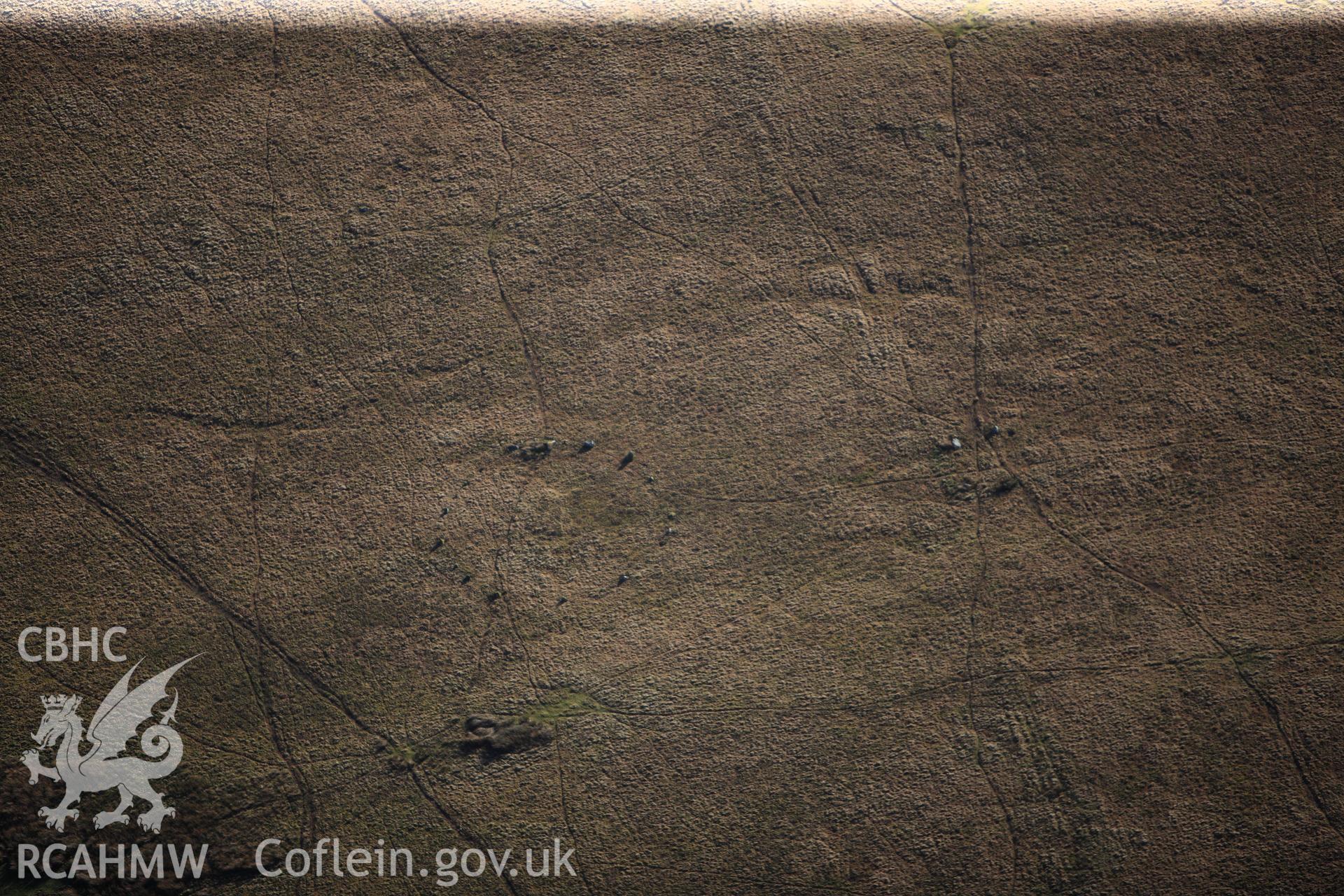 RCAHMW colour oblique photograph of Trecastle Mountain stone circle 1, Mynydd Bach Trecastell. Taken by Toby Driver on 23/11/2012.