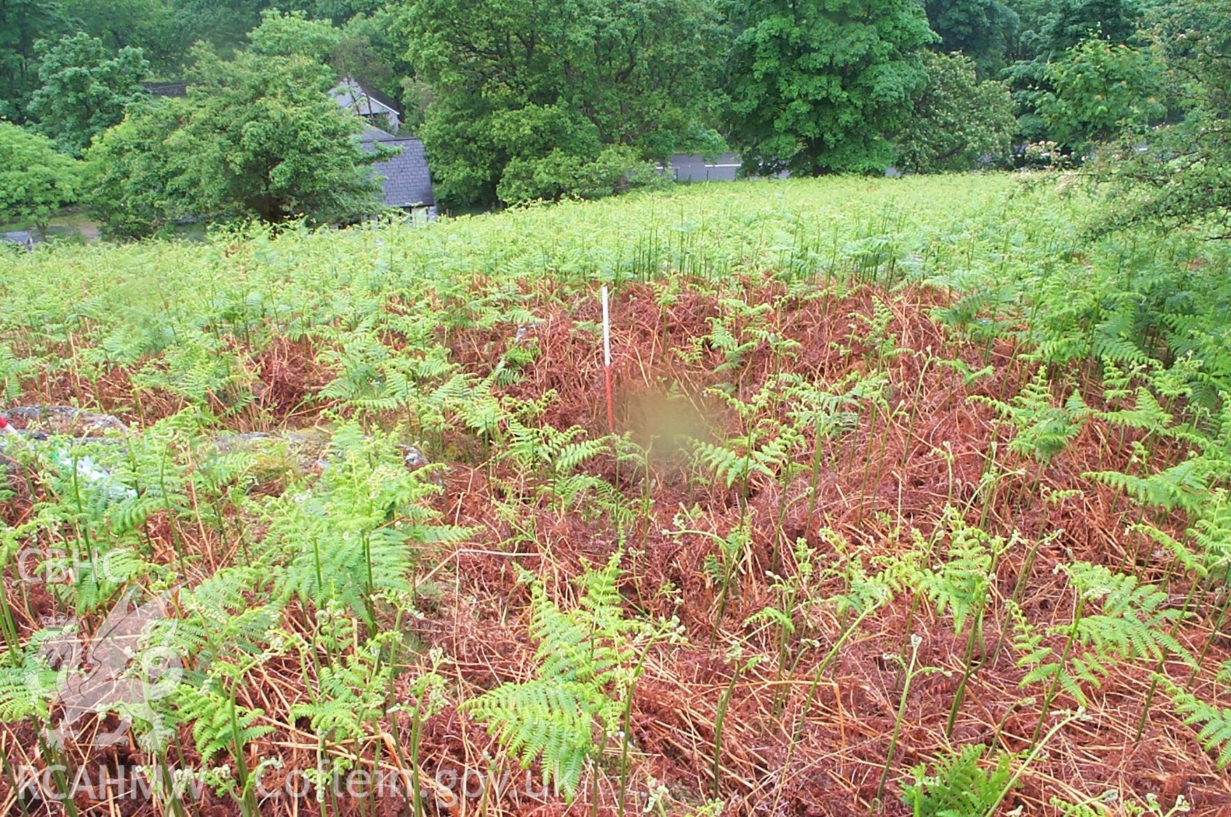 Digital photograph of Moel Sych Cairn taken on 28/04/2004 by Oxford Archaeology North during the Dyffryn Tanat Upland Survey