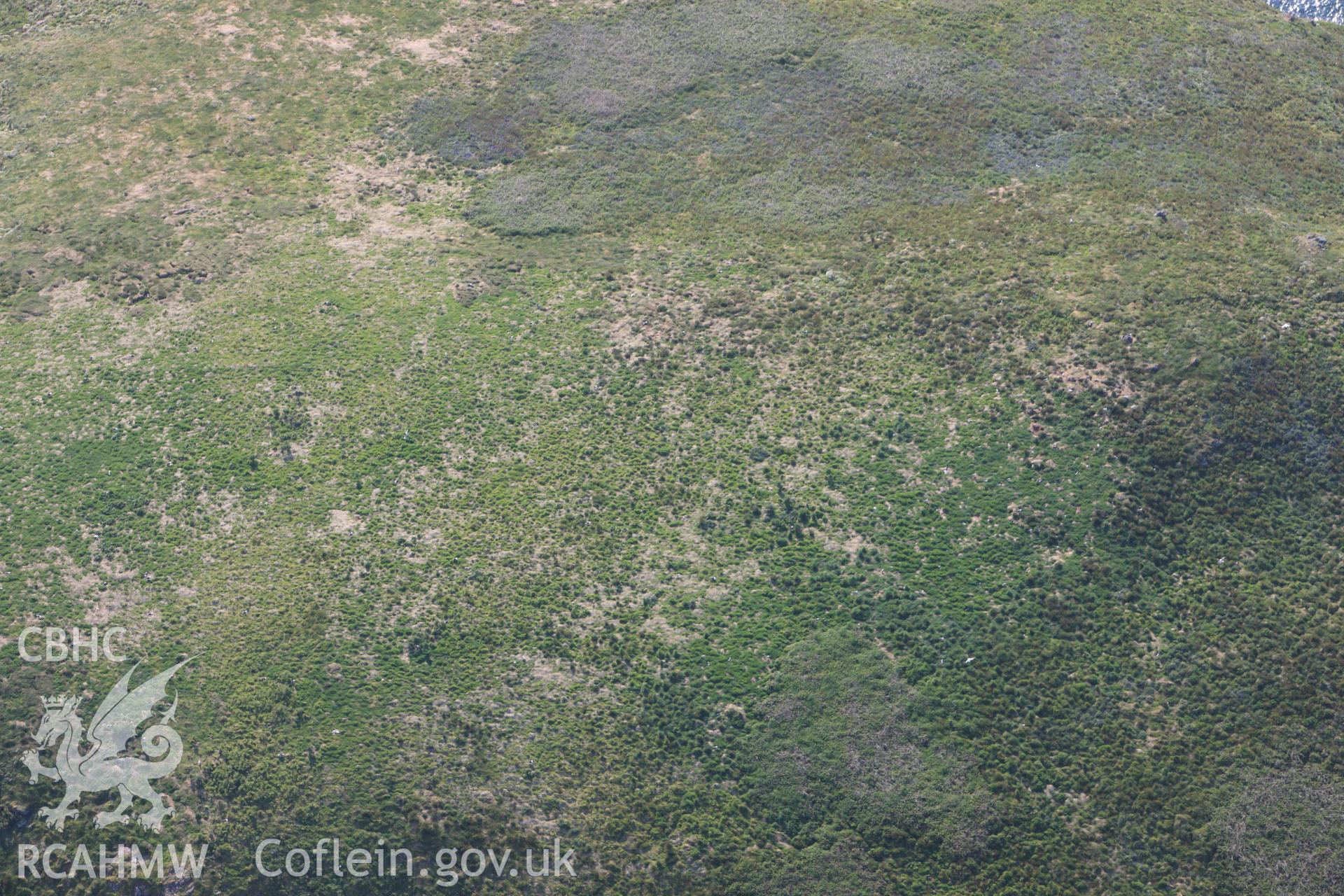 RCAHMW colour oblique photograph of Midland Isle. Taken by Toby Driver on 25/05/2010.