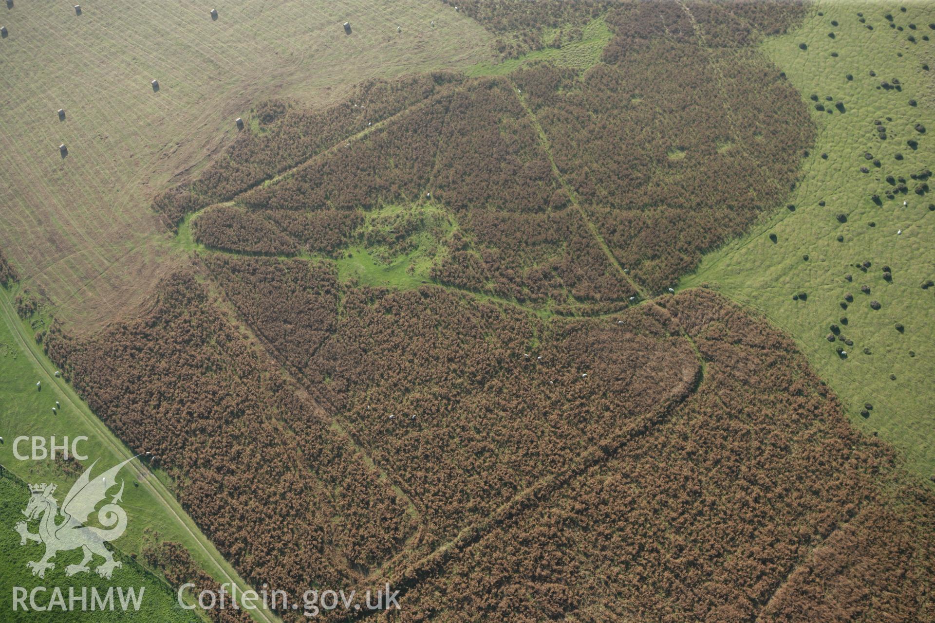 RCAHMW colour oblique photograph of Cwmblaenerw Enclosed Long Hut. Taken by Toby Driver on 13/10/2010.