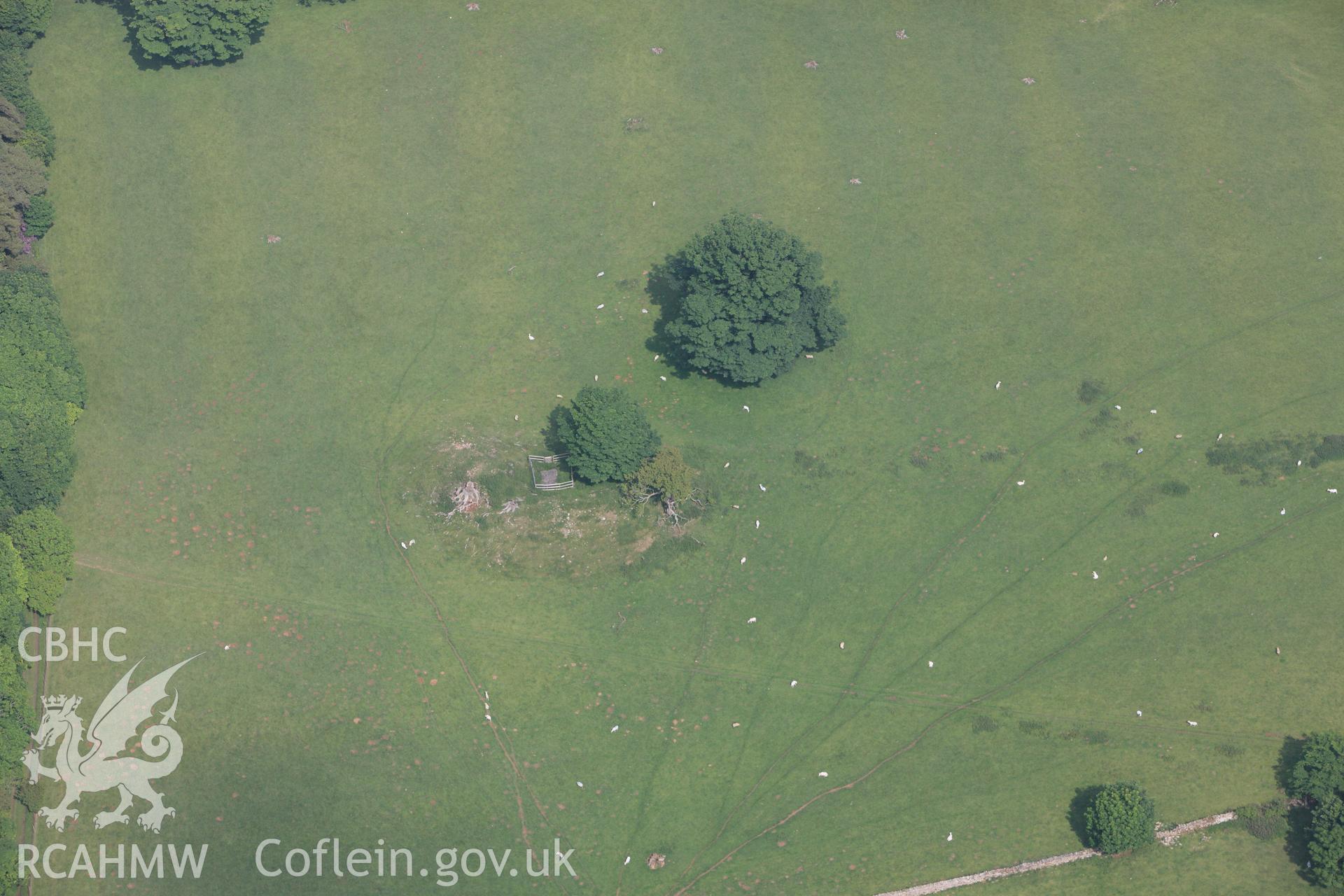 RCAHMW colour oblique photograph of Bryn yr Hen Bobl burial chamber. Taken by Toby Driver on 10/06/2010.