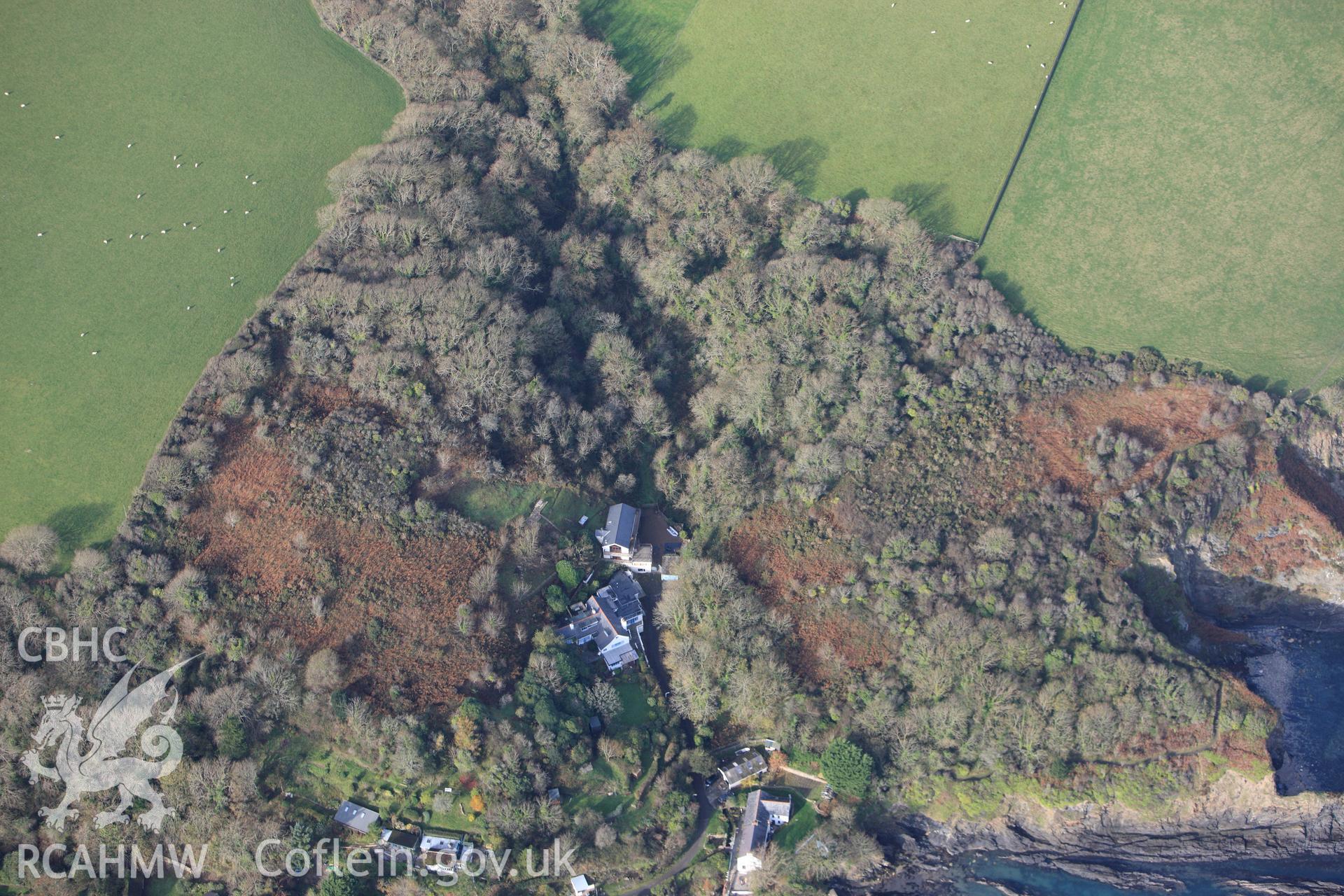 RCAHMW colour oblique photograph of Dinas Island Castell. Taken by Toby Driver on 16/11/2010.