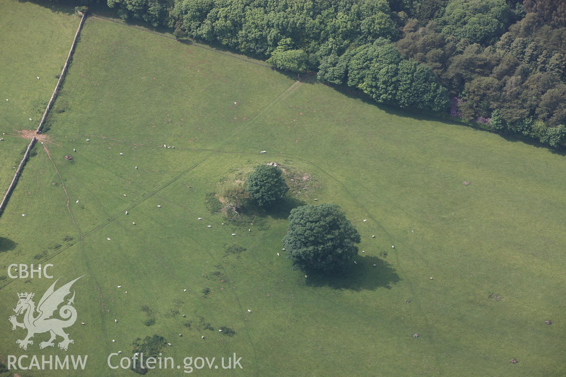 RCAHMW colour oblique photograph of Bryn yr Hen Bobl burial chamber. Taken by Toby Driver on 10/06/2010.