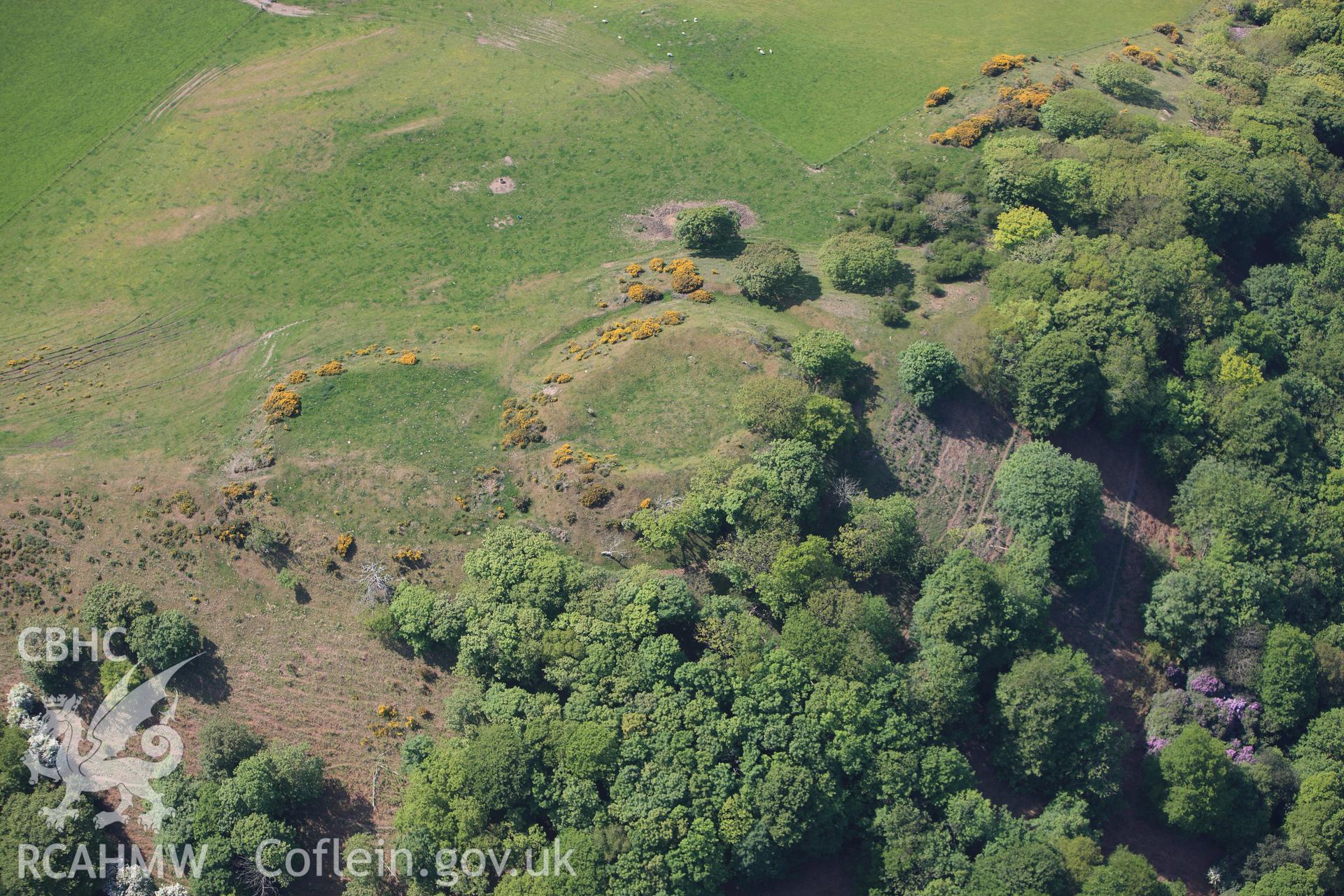 RCAHMW colour oblique photograph of Tanycastell motte. Taken by Toby Driver on 25/05/2010.