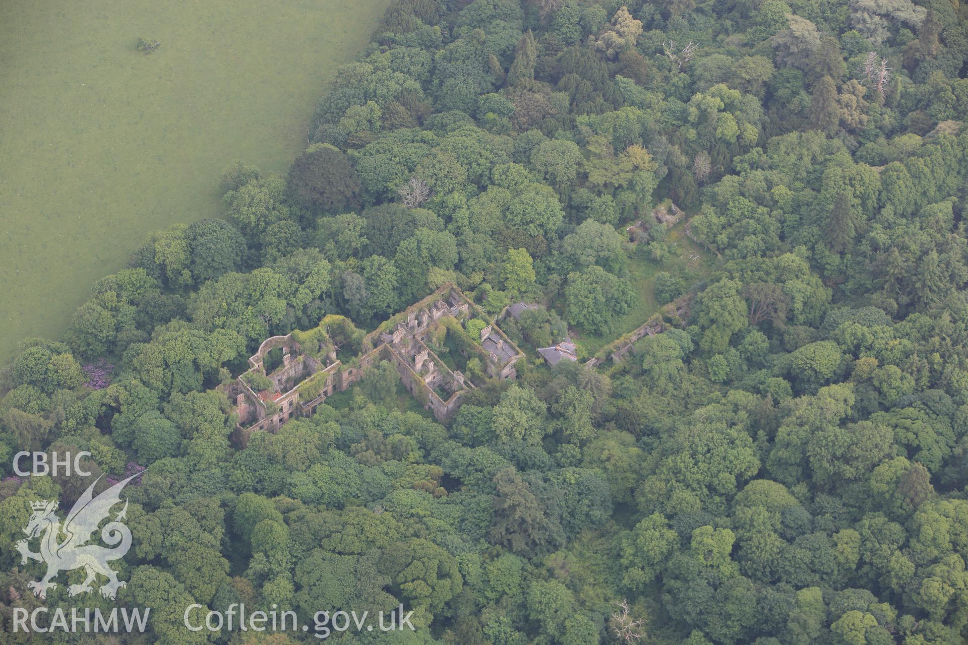 RCAHMW colour oblique photograph of Baron Hill, house, ruin. Taken by Toby Driver on 10/06/2010.