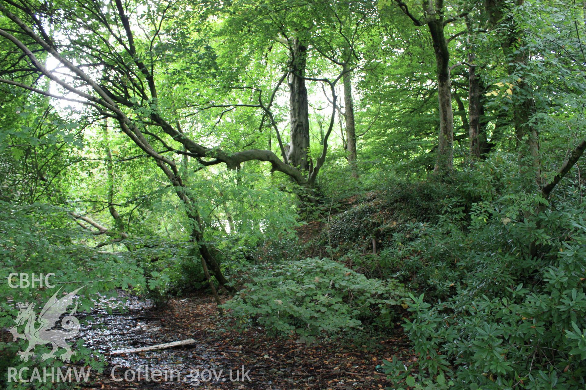 Colour digital image showing view of Motte (right) and moat (left) at Morganstown Motte, Radyr. From a Cambrian Archaeological Projects assessment survey by Dr Amelia Pannett (CAP Report 592)