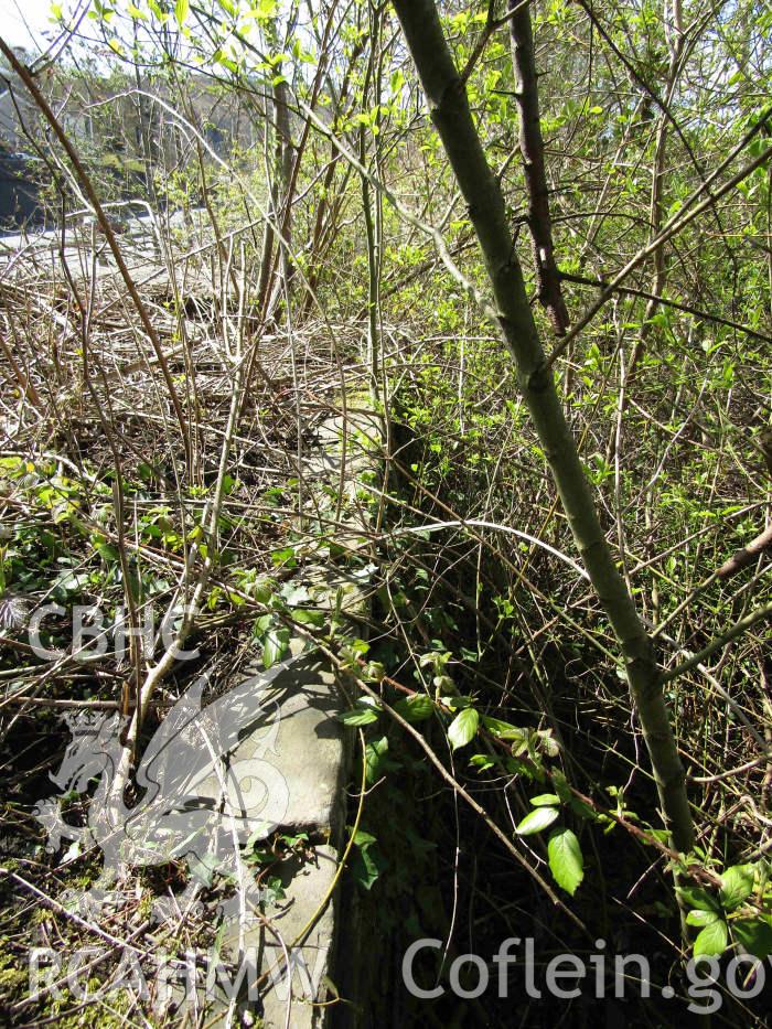 'Lock yr odyn no. 29, tail end, west boundary tow path wall.' Colour digital photograph of Lock 29 (Glandwor villa lock) of the Glamorganshire Canal in Trallwn, Pontypridd. Taken by Mr Kelvin Merriott.