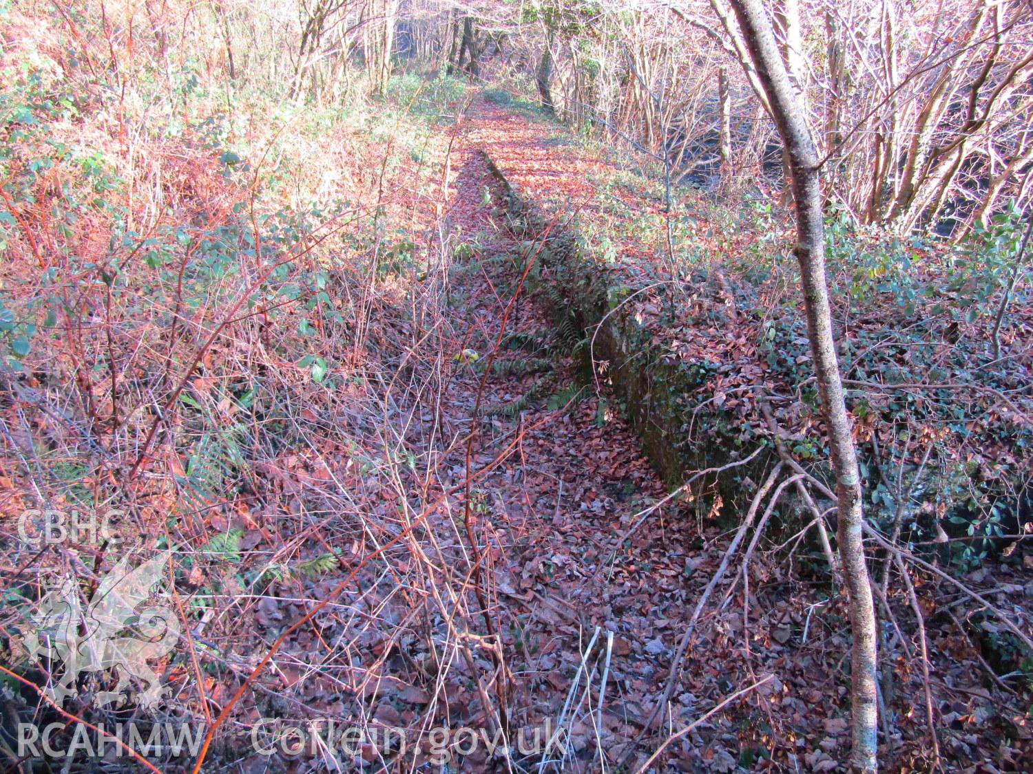 Photograph showing feeder on west bank of Taff viewed from near the aqueduct, view north-east. Produced by Kelvin Merriott in December 2016.