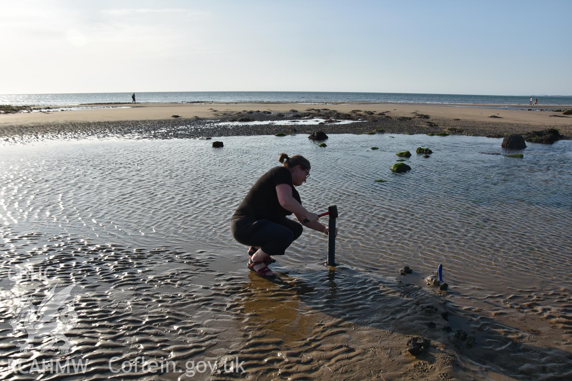 CHERISH team taking a core from the peat deposit near Dinas Dinlle. Photograph taken in September 2020 as part of repeat monitoring and survey by the CHERISH project. © Crown: CHERISH PROJECT 2020. Produced with EU funds through the Ireland Wales Co-operation Programme 2014-2023. All material made freely available through the Open Government Licence.