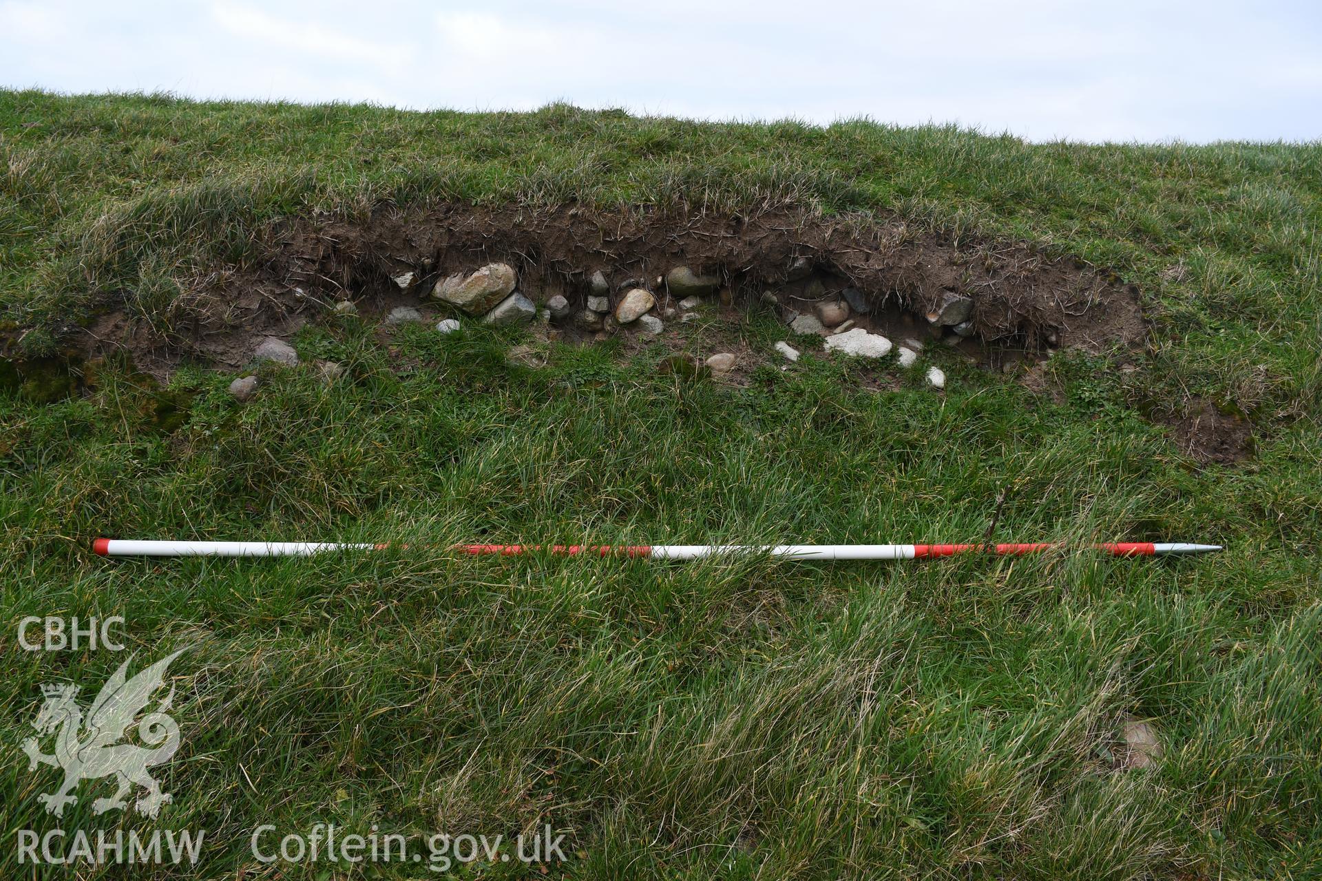 Erosion on southern ramparts revealing stonework. 2m scale. Taken by Hannah Genders Boyd. Produced with EU funds through the Ireland Wales Co-operation Programme 2014-2023. All material made freely available through the Open Government Licence.