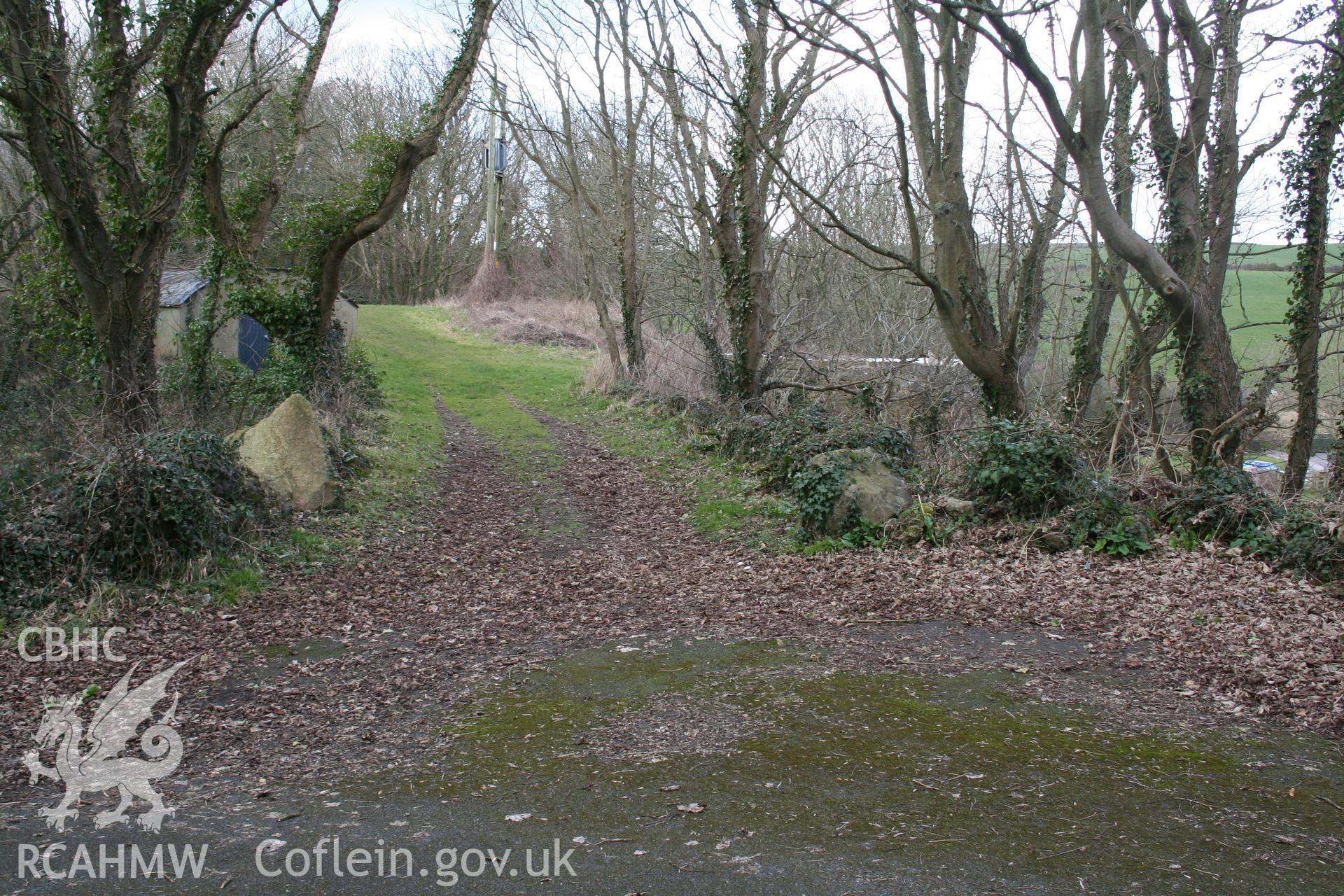 View of tree-lined path from Stackpole Quay Limekiln. Part of digital photographic survey produced by Louise Barker of the Royal Commission on the Ancient and Historic Monuments of Wales, August 2009.