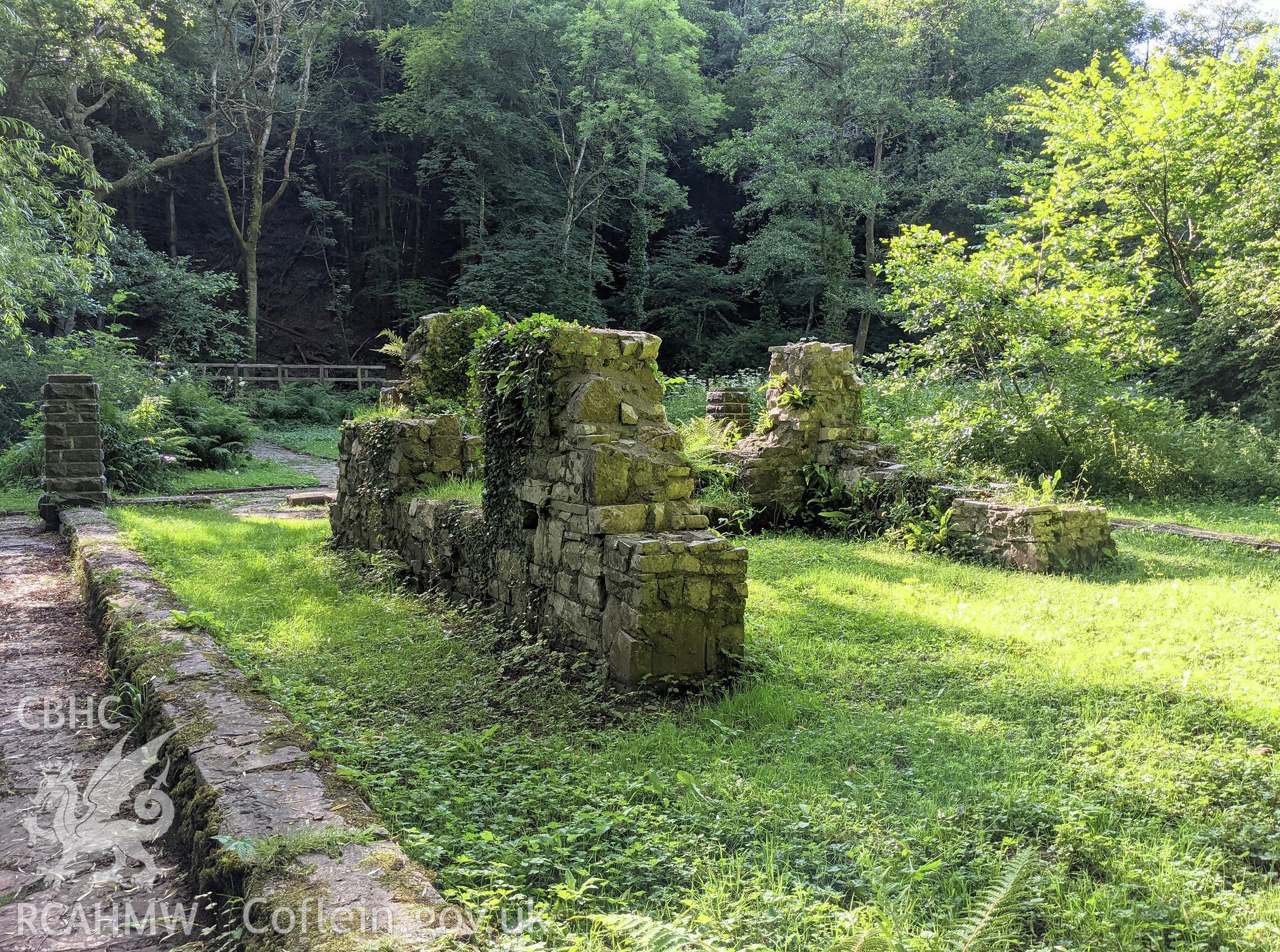 Trinity Well Chapel stone remains, overgrown, towards approach path Taken by Meilyr Powel.