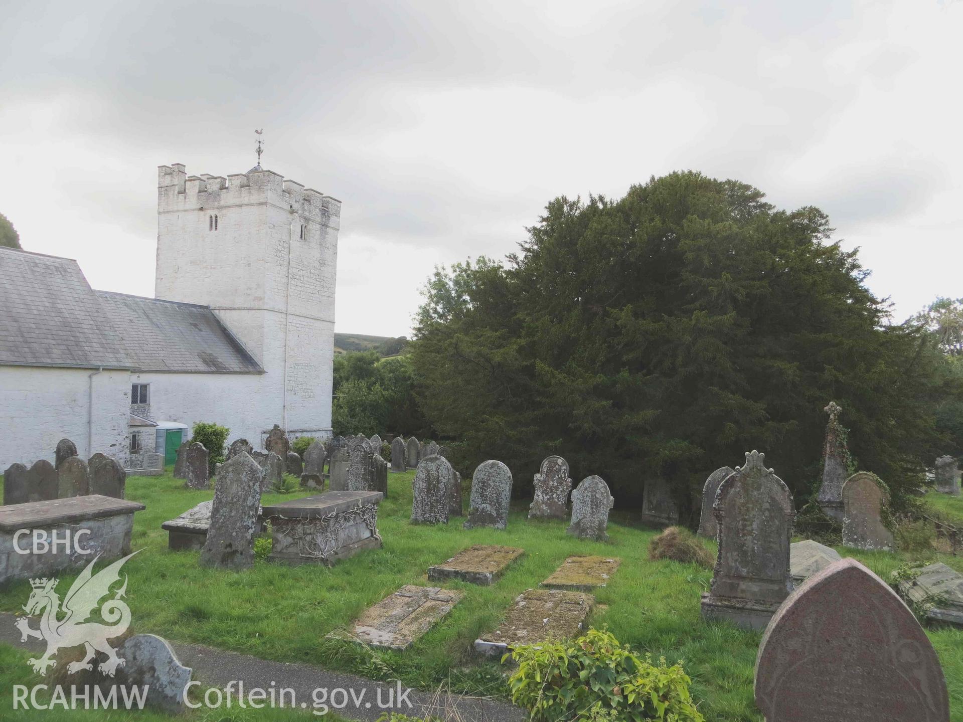 Digital colour photograph showing the churchyard yew tree at St Cynog's church, Defynnog - View of yew, looking south-west, in its churchyard setting. Taken in September, 2022.