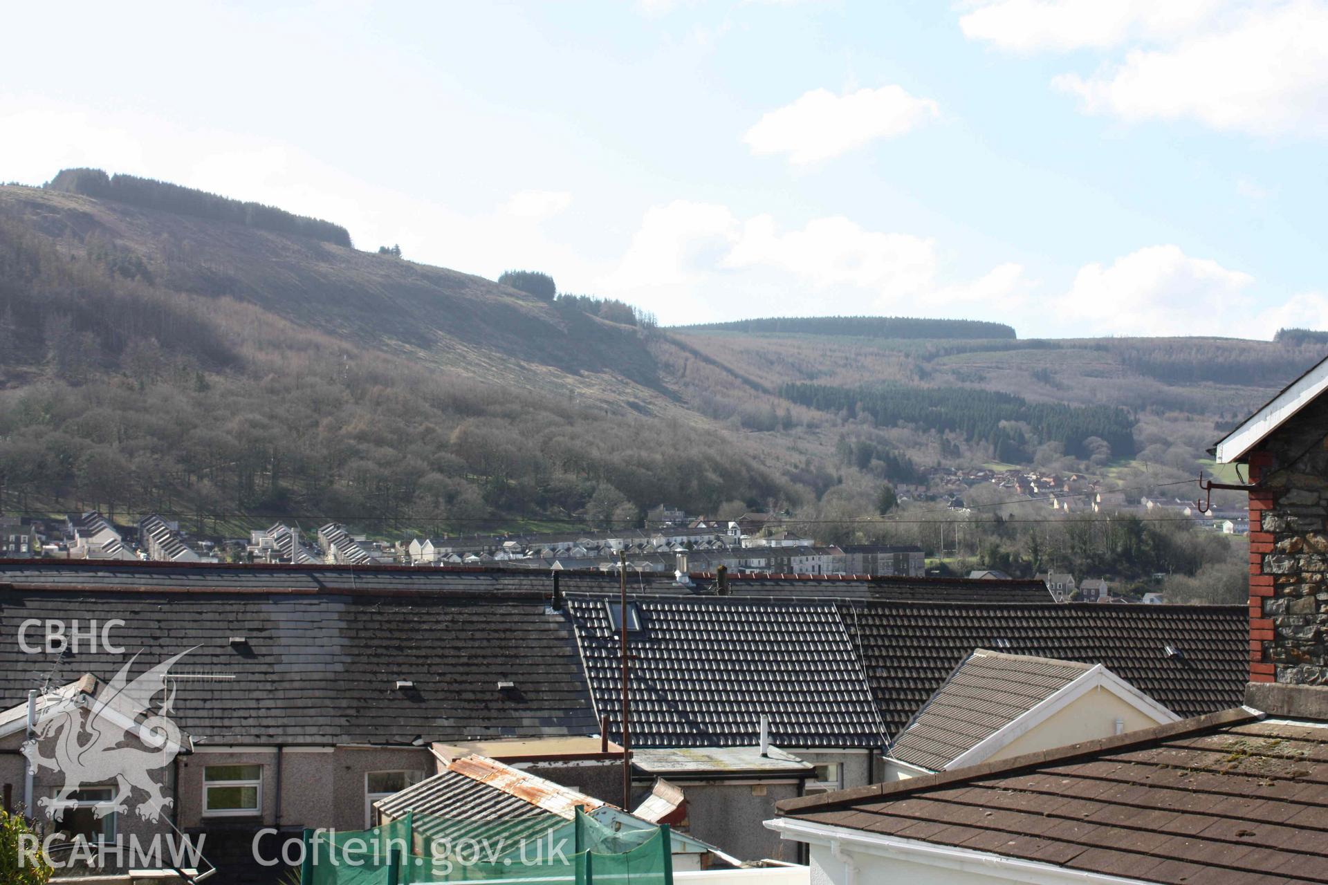 Digital colour photograph showing general view of Mountain Ash, taken 18 March, 2022.