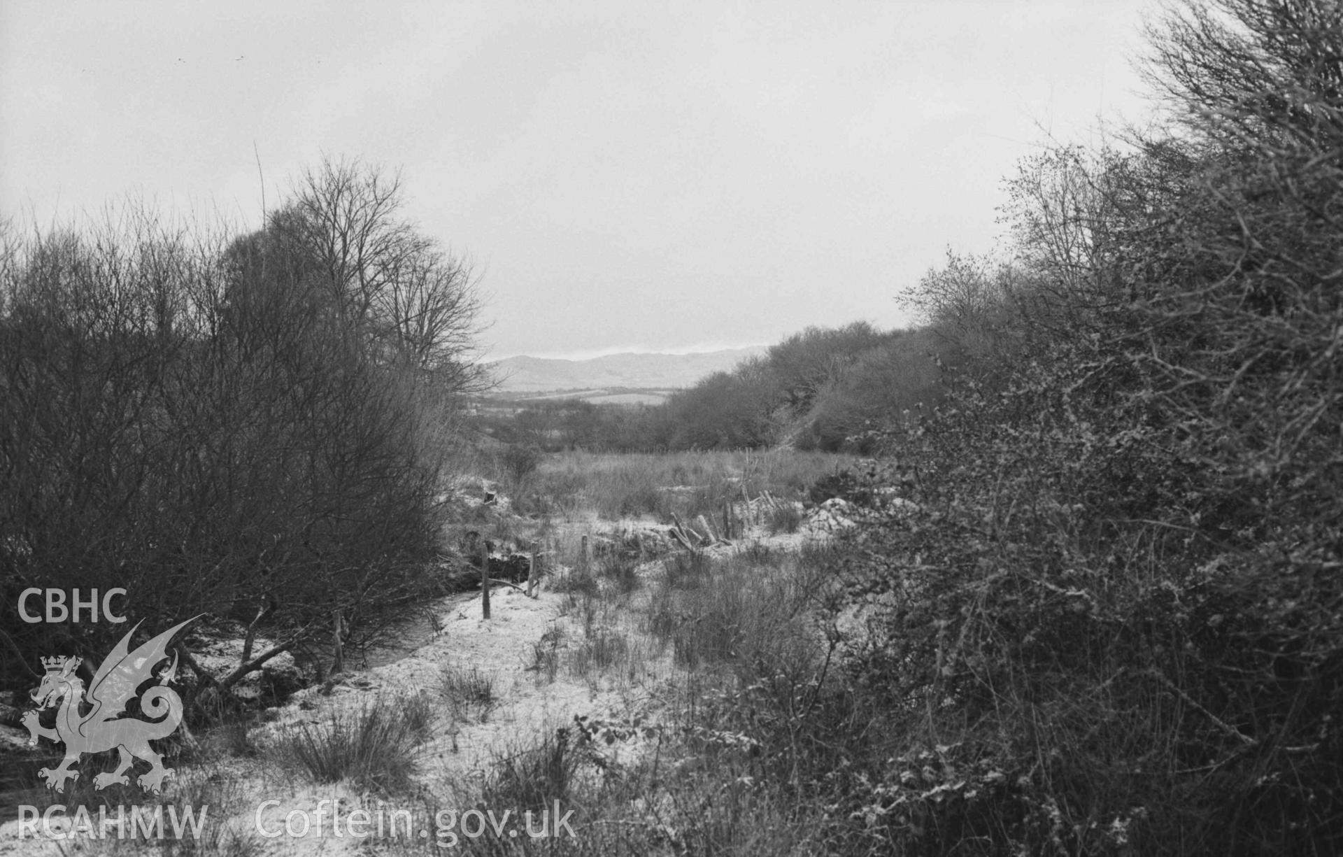 Digital copy of a black and white negative showing view from the road bridge by the mill down the Camddwr Fach. Photographed by Arthur Chater on 27 December 1968. Looking north east from Grid Reference SN 6933 6618.