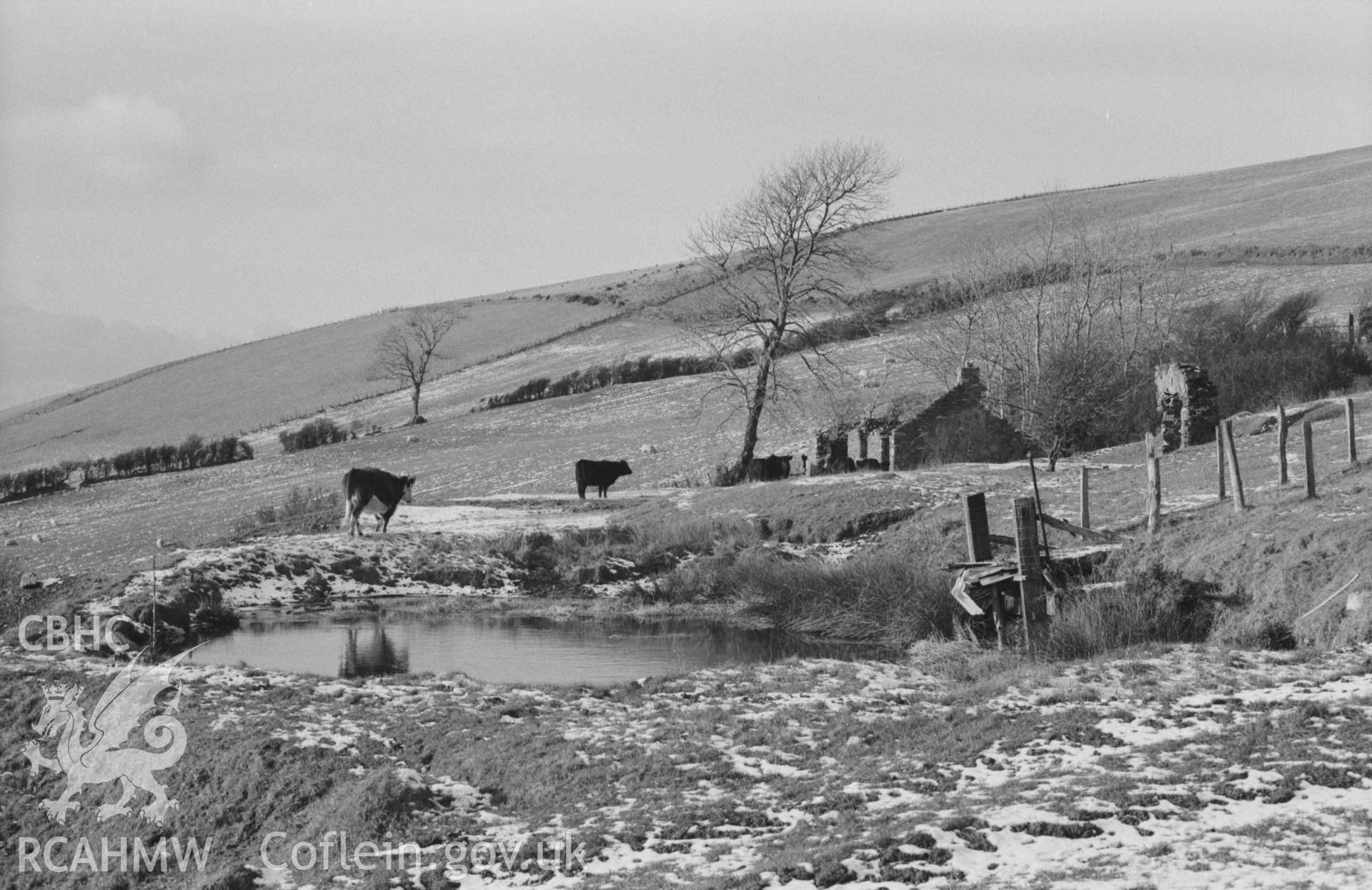 Digital copy of a black and white negative showing small reservoir and ruins, from 50m west of the ruins of Mine Cottage, Mynydd-Gorddu mine. Photographed by Arthur Chater on 29 December 1968. Looking west north west from Grid Reference SN 6678 8608.