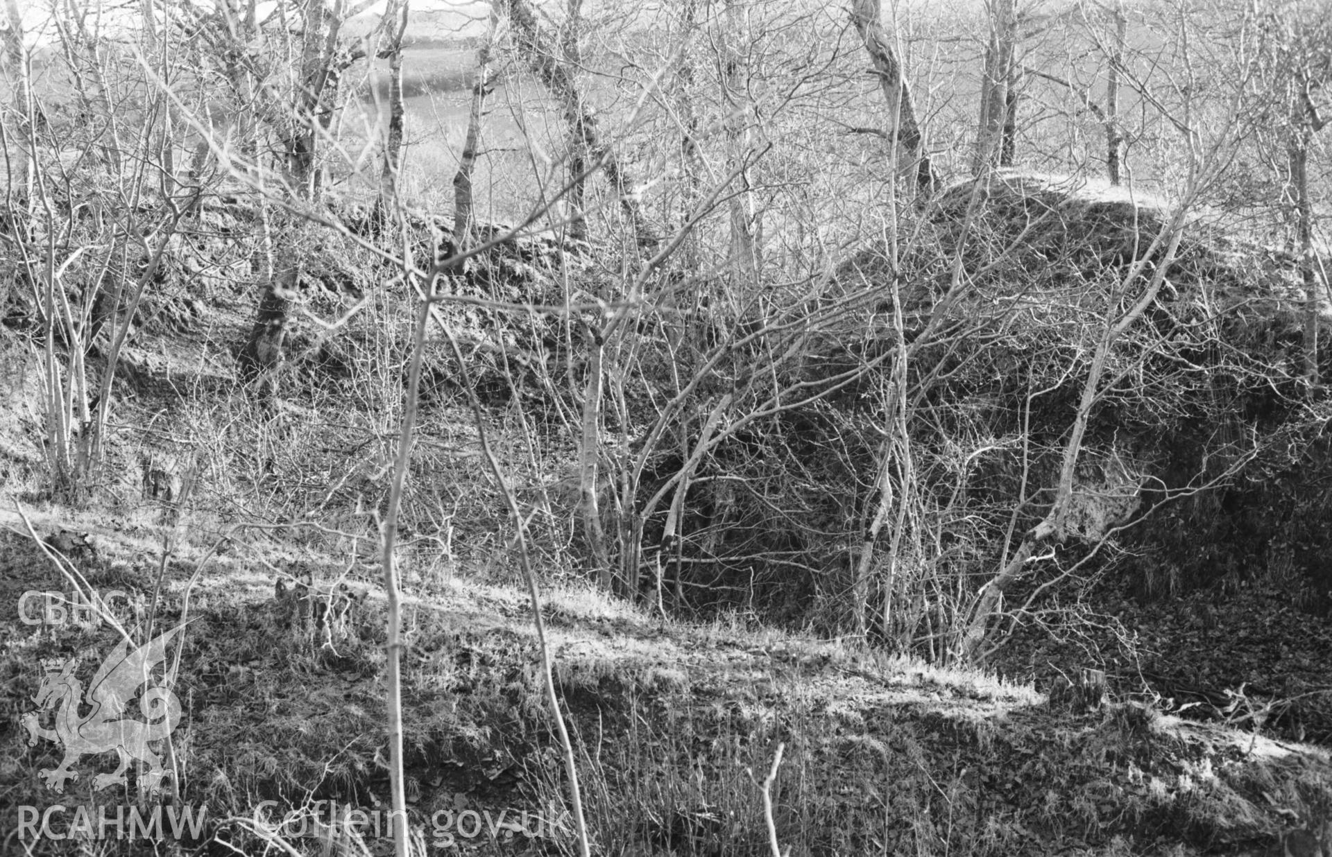 Digital copy of a black and white negative showing Castell Peithyll motte. Photographed by Arthur Chater on 5 January 1969. Looking south south east from Grid Reference SN 6530 8246.