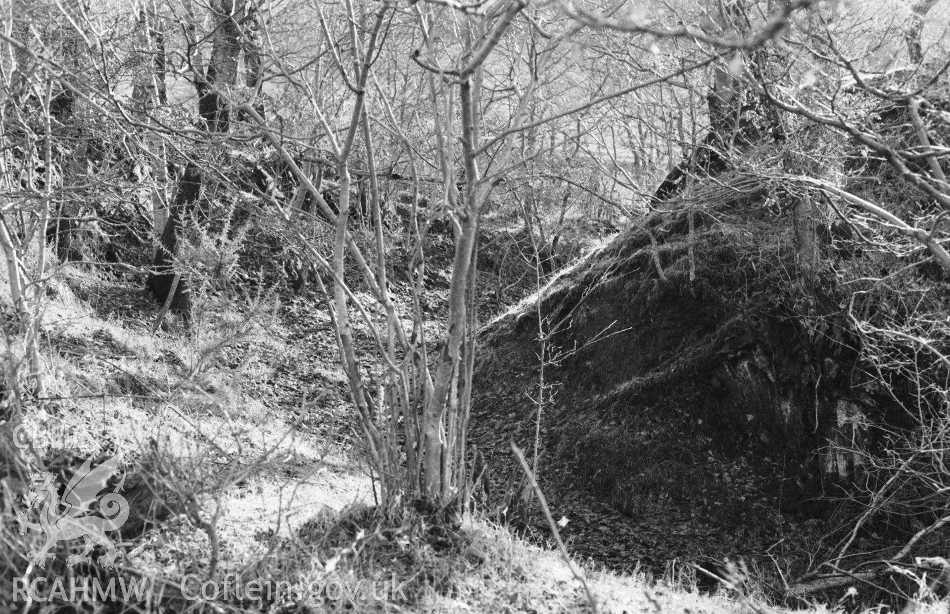 Digital copy of a black and white negative showing east side of Castell Peithyll motte. Photographed by Arthur Chater on 5 January 1969. Looking south south east from Grid Reference SN 6532 8245.