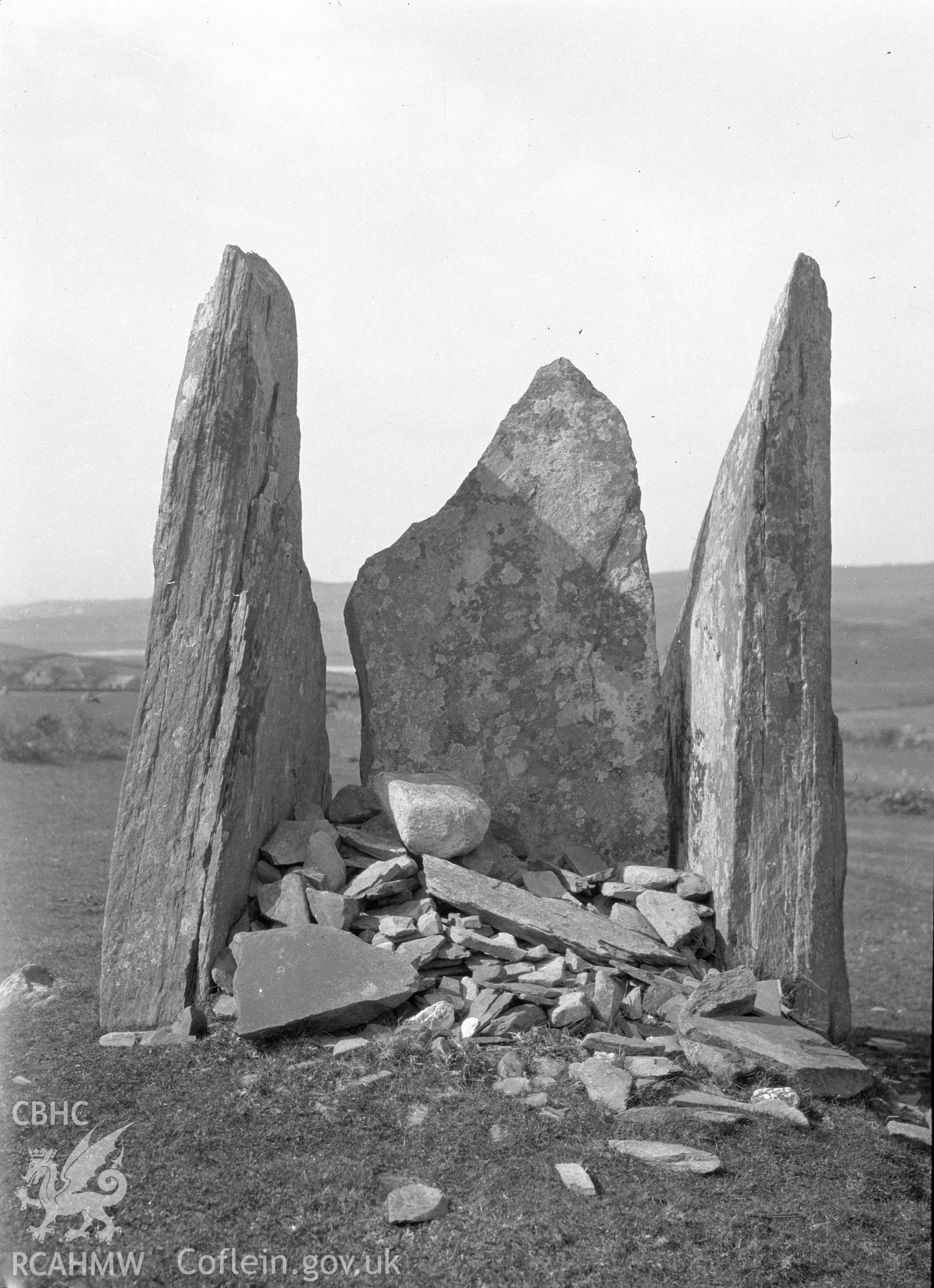 Digital copy of a nitrate negative showing Gist Gerig, Treflys.