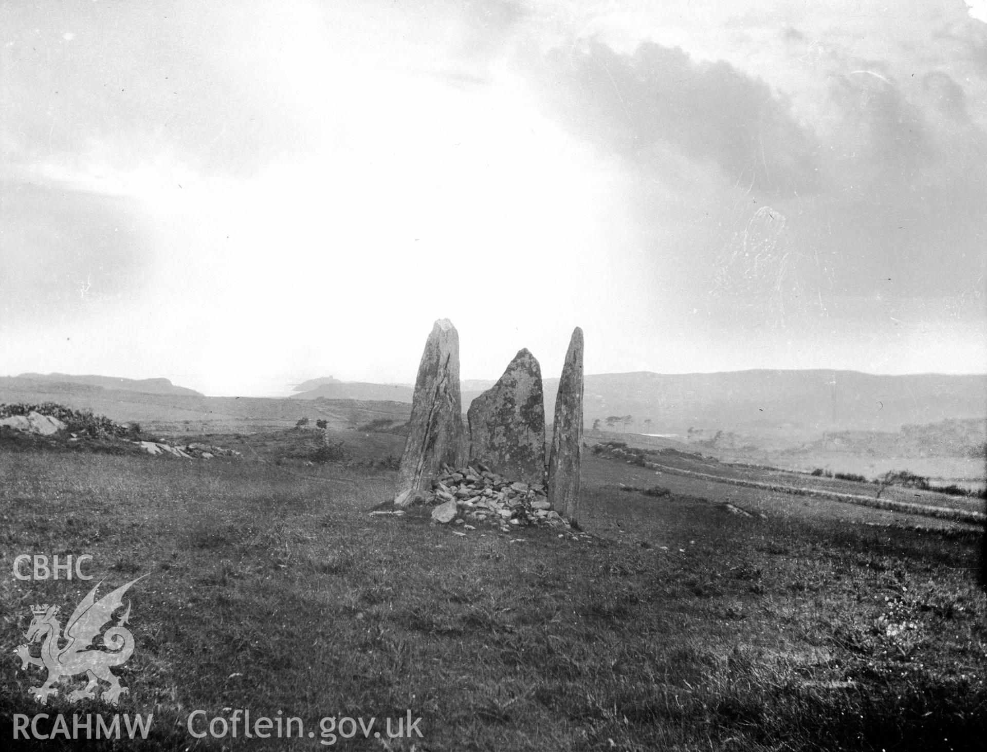 Digital copy of a nitrate negative showing Gist Gerig, Treflys.