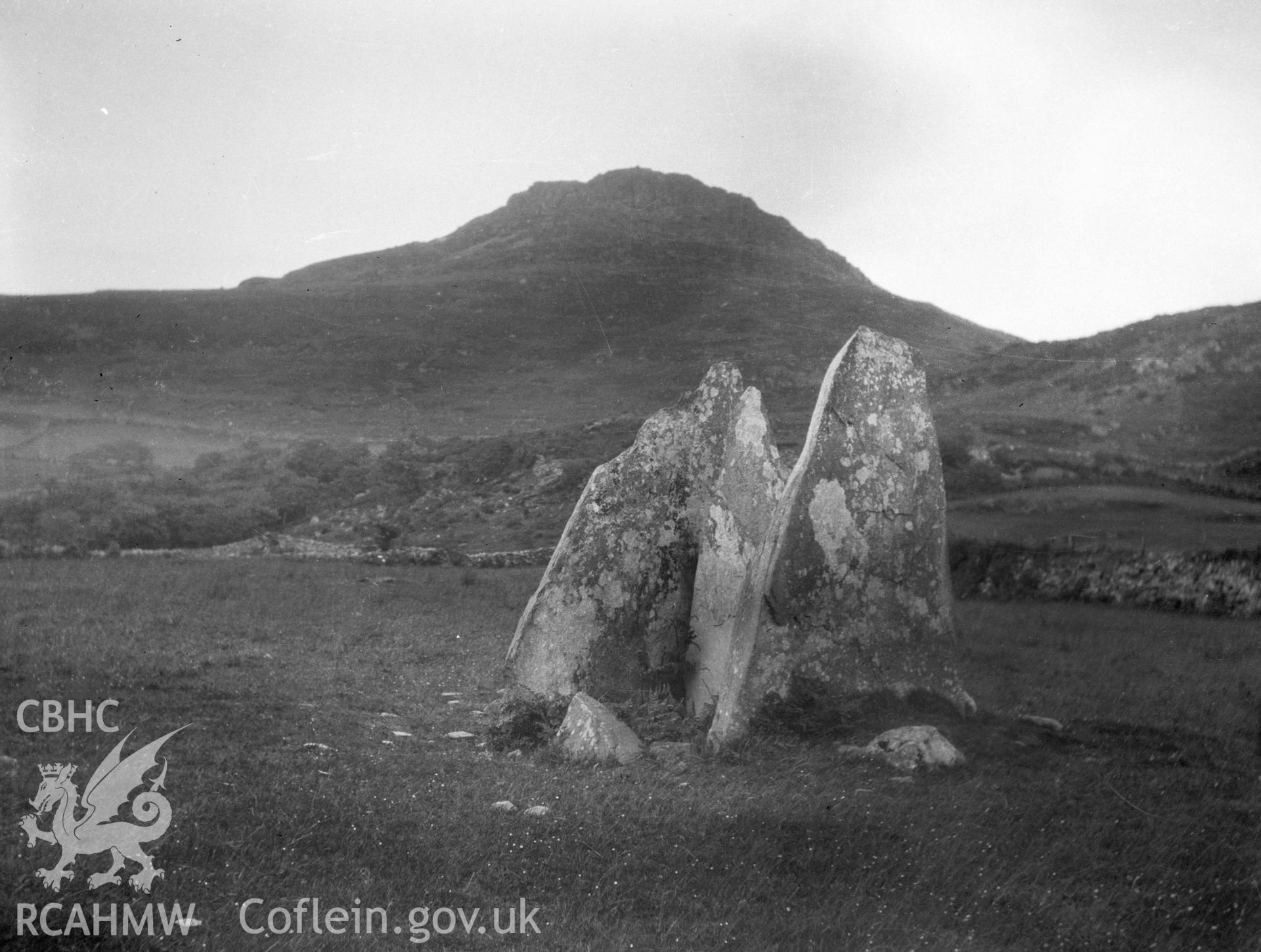 Digital copy of a nitrate negative showing Gist Gerig, Treflys.