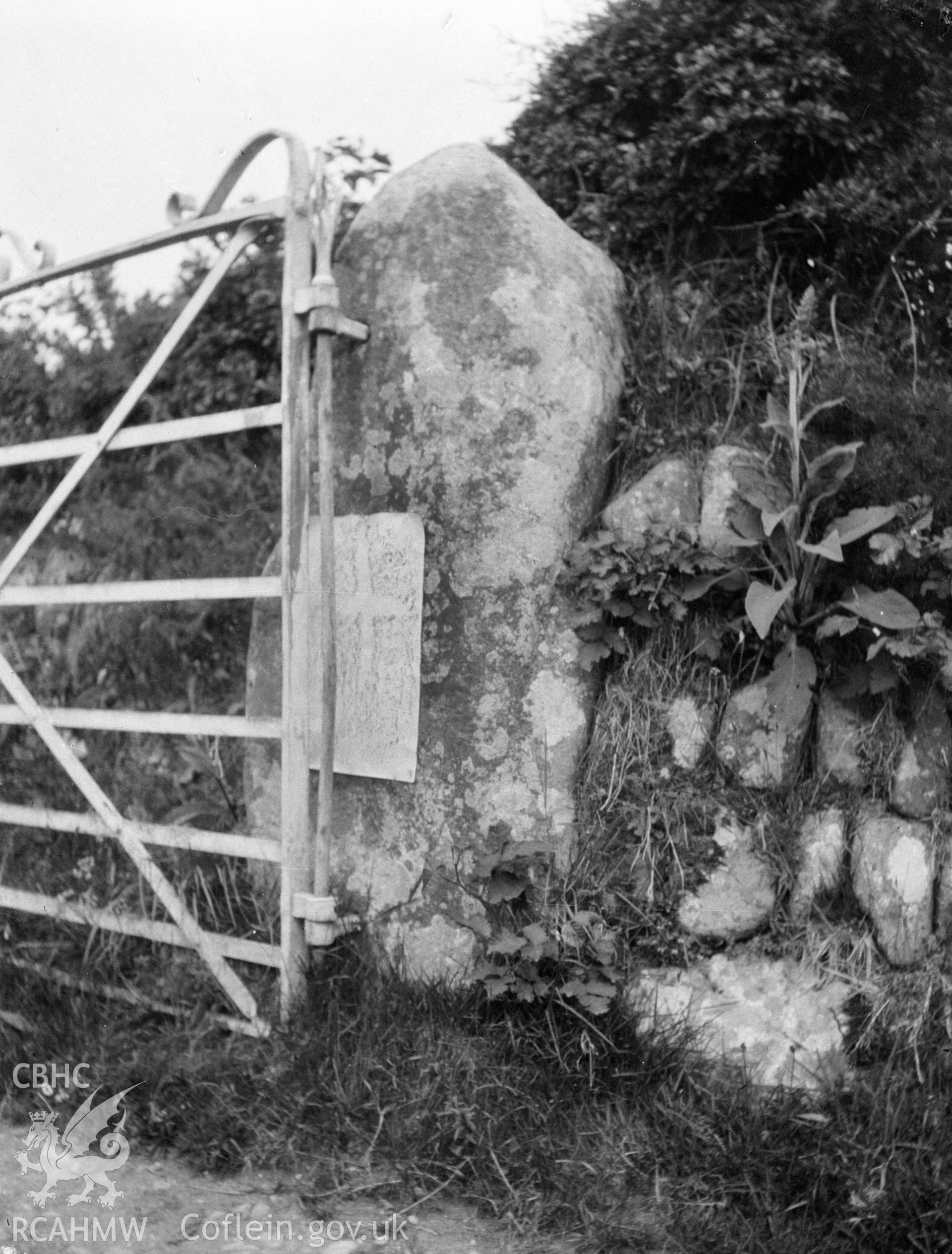 Digital copy of a nitrate negative showing Cefn Coch Inscribed Stone.