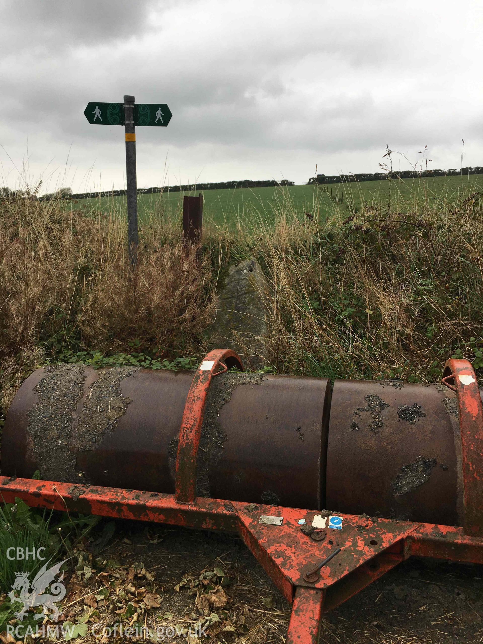 Digital colour photograph showing Llys-y-fran inscribed stone in context, taken in 2022.