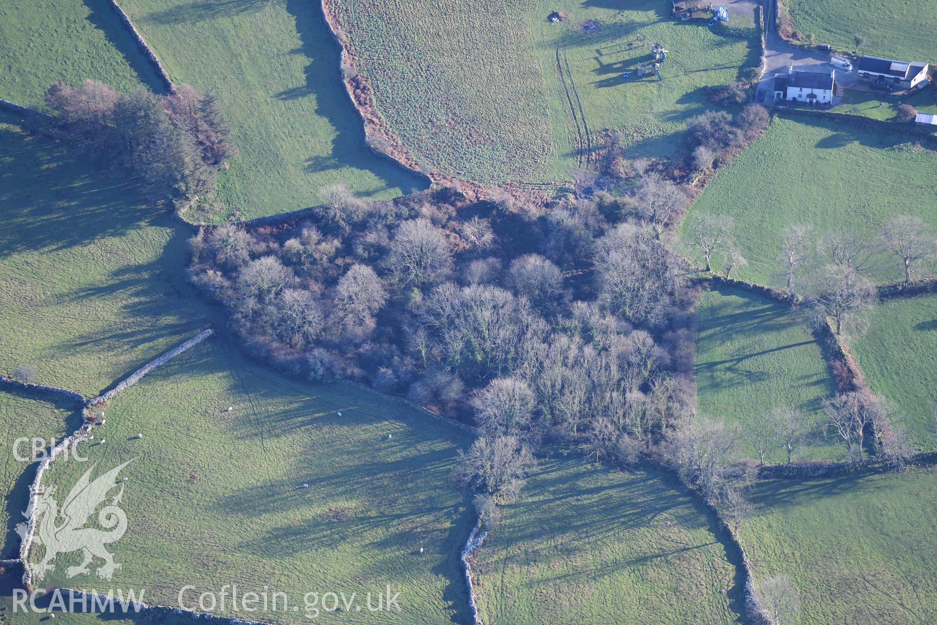 Oblique aerial photograph of settlement enclosure, Llwyn Du; west of Pen-yr-allt taken during the Royal Commission