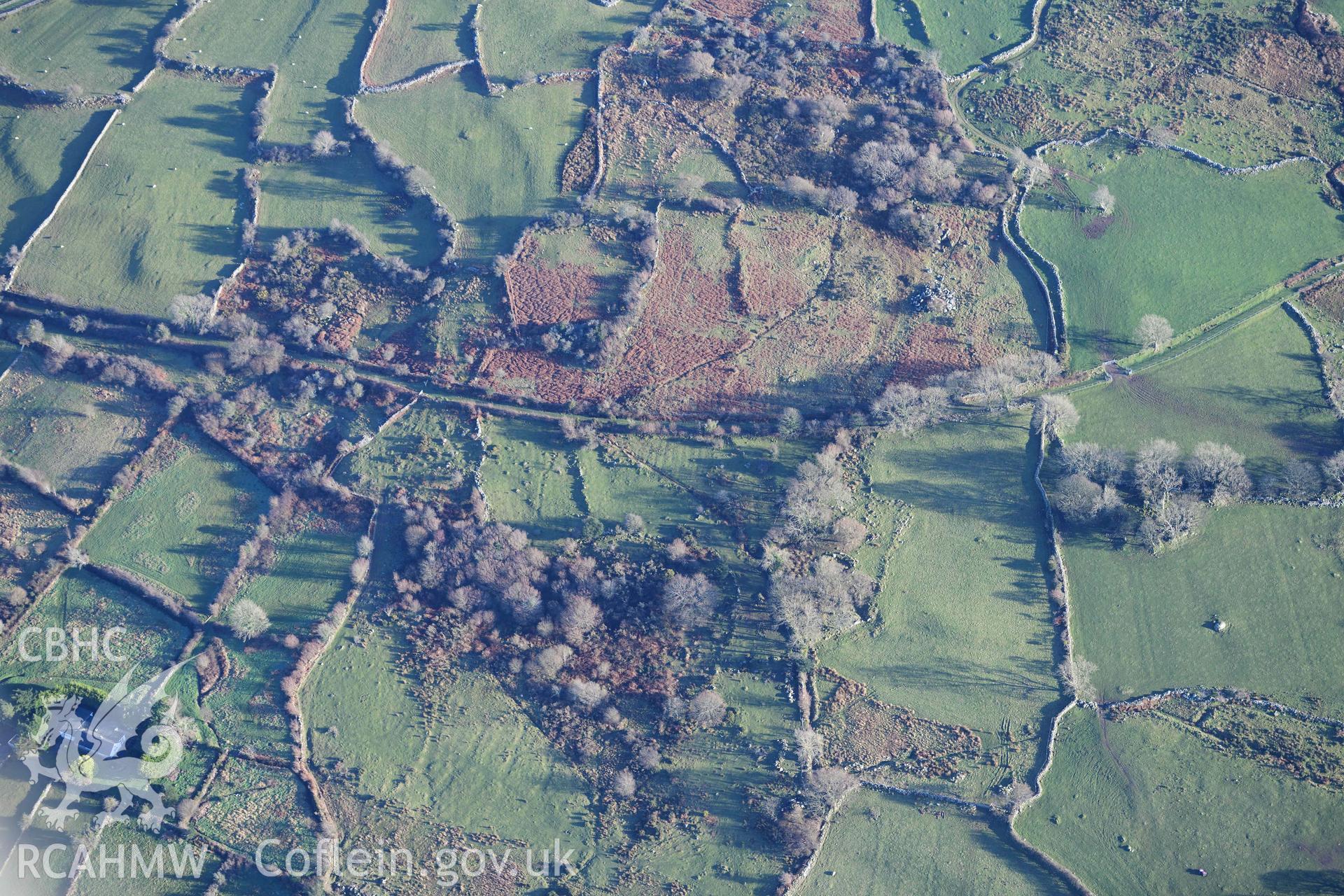 Oblique aerial photograph of Coed y Brain hut group and settlement taken from the north west during the Royal Commission