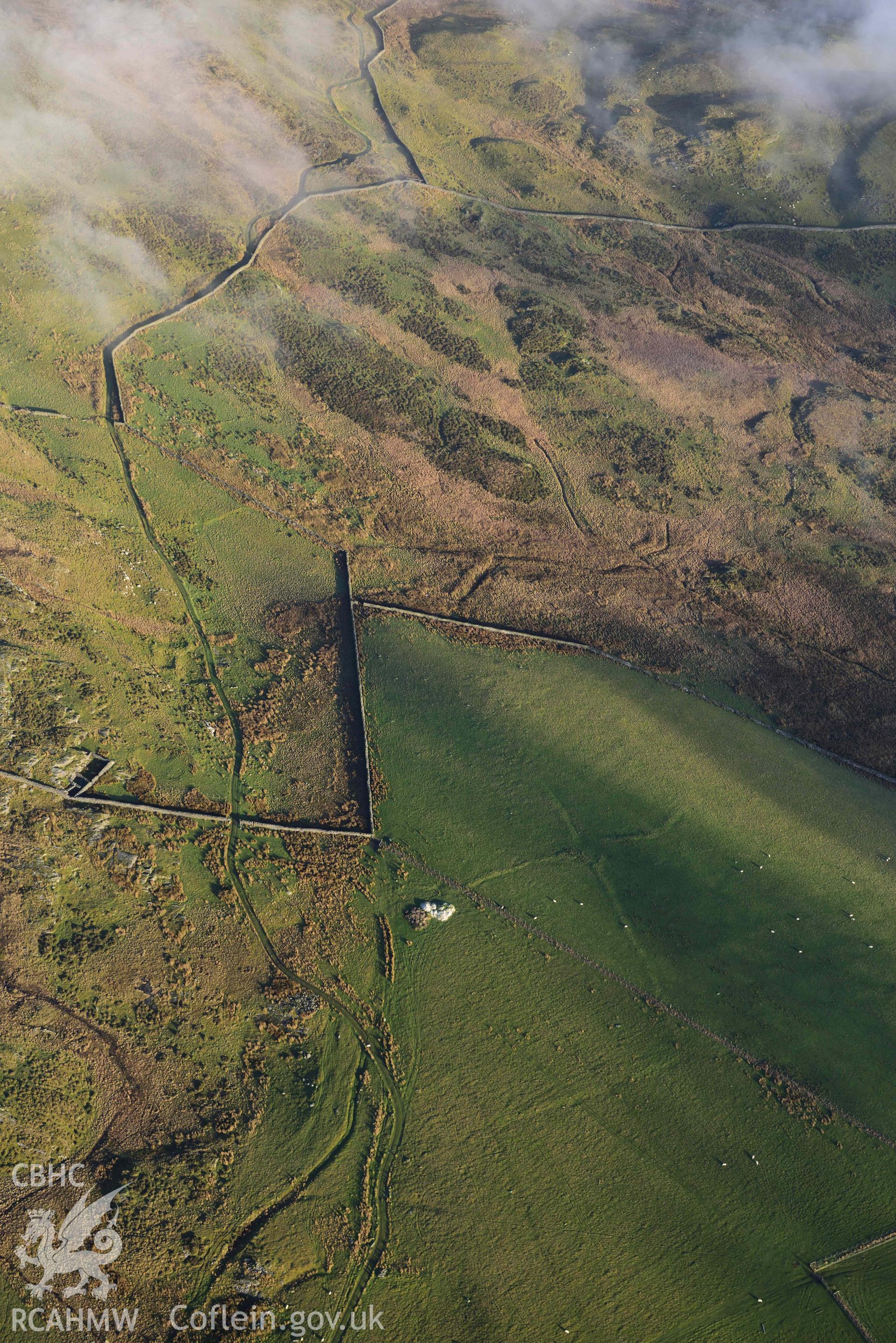 Oblique aerial photograph of Moel Goedog enclosed settlement taken during the Royal Commission