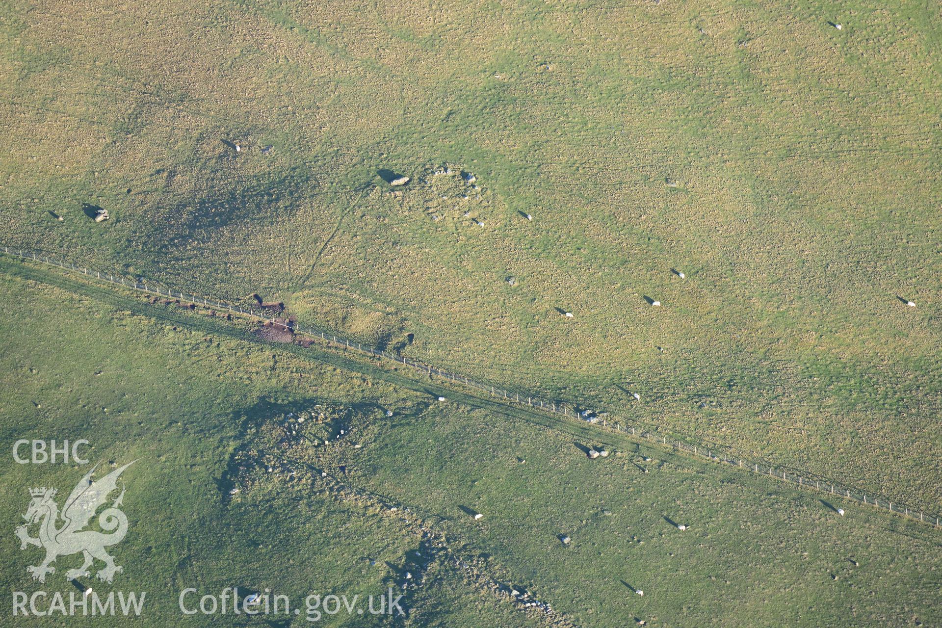 Oblique aerial photograph of Moel Goedog circles taken during the Royal Commission