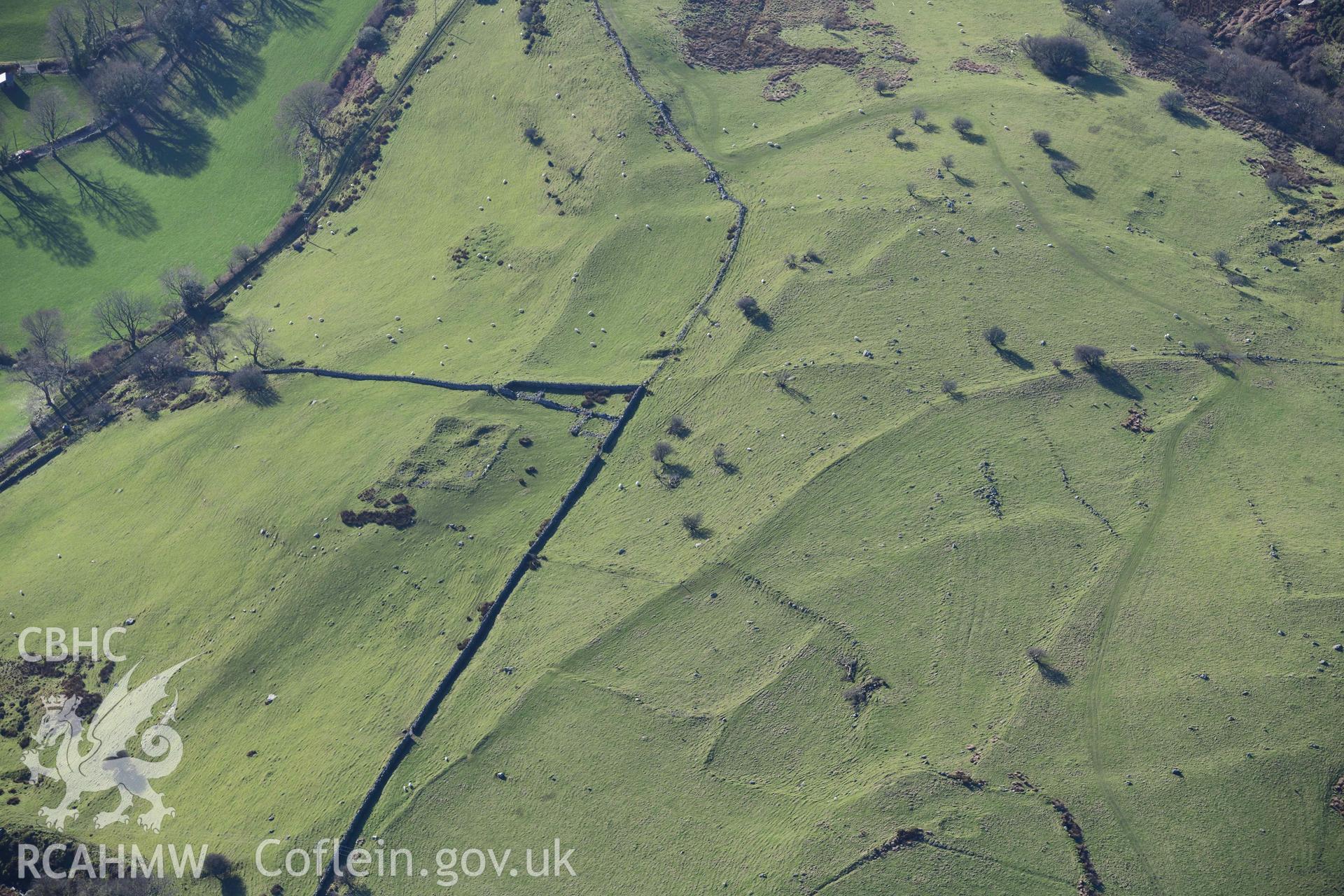 Oblique aerial photograph of Gelliffrydiau homestead and field systems. Taken during the Royal Commission