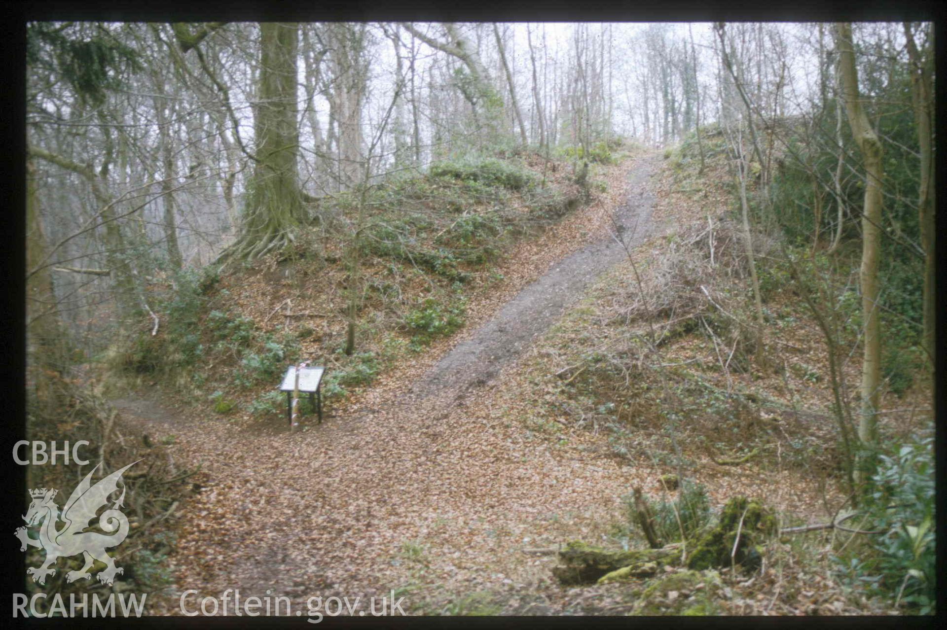 Photograph showing Motte & Bailey Erddig, taken by John Latham, 2003.