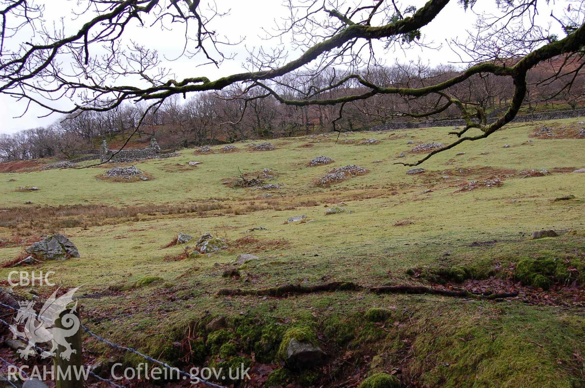 Photograph showing Dolmelynllyn Berth Lwyn cairnfield, taken by John Latham, 2009.