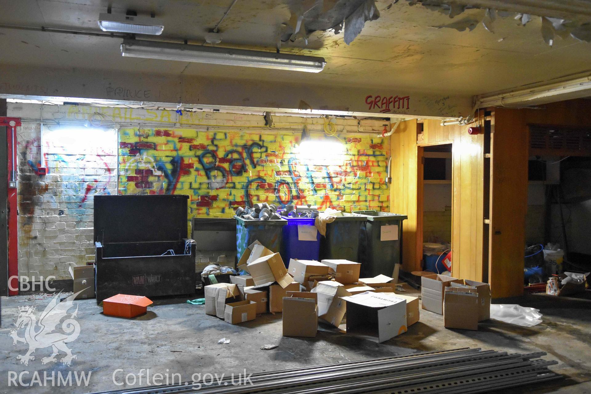 Basement bar, general view.
